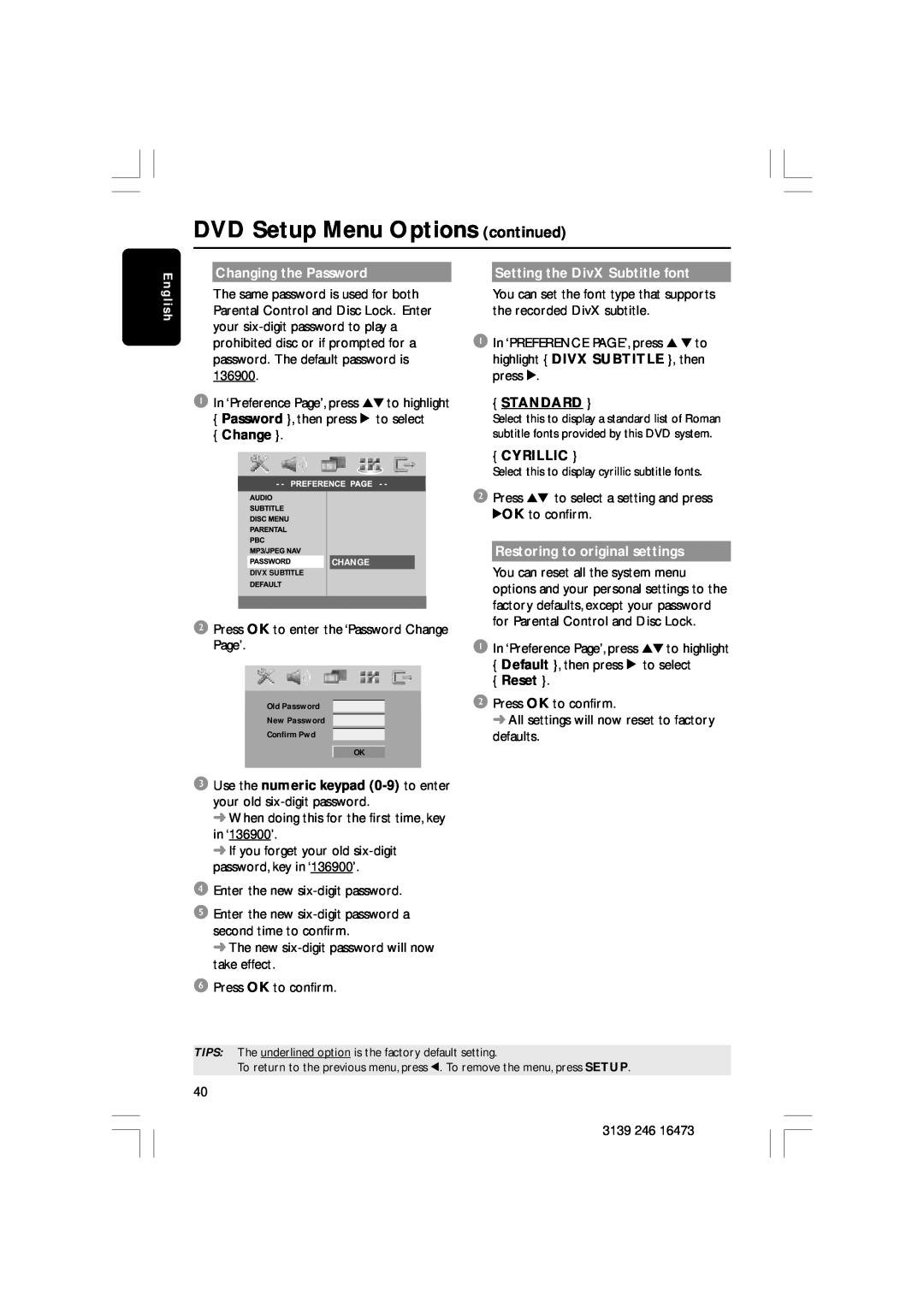 Philips HTS5510C DVD Setup Menu Options continued, Changing the Password, Setting the DivX Subtitle font, Change, Standard 