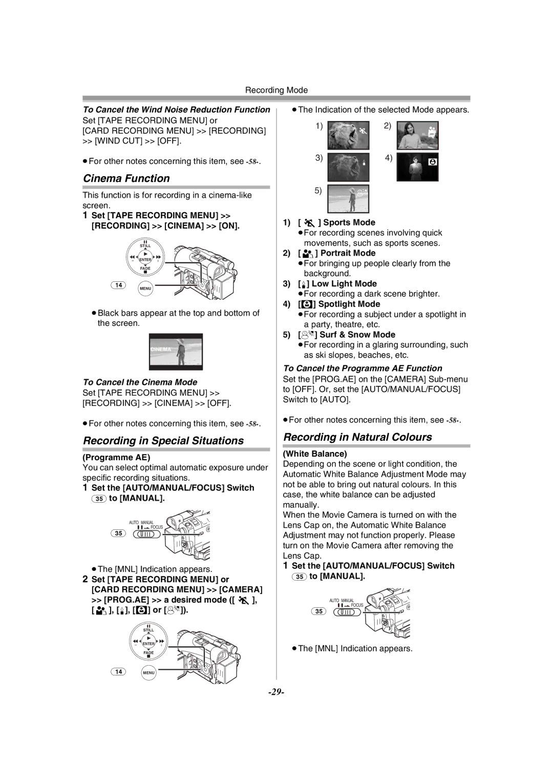 Philips NV-GS120EB operating instructions Cinema Function, Recording in Special Situations, Recording in Natural Colours 