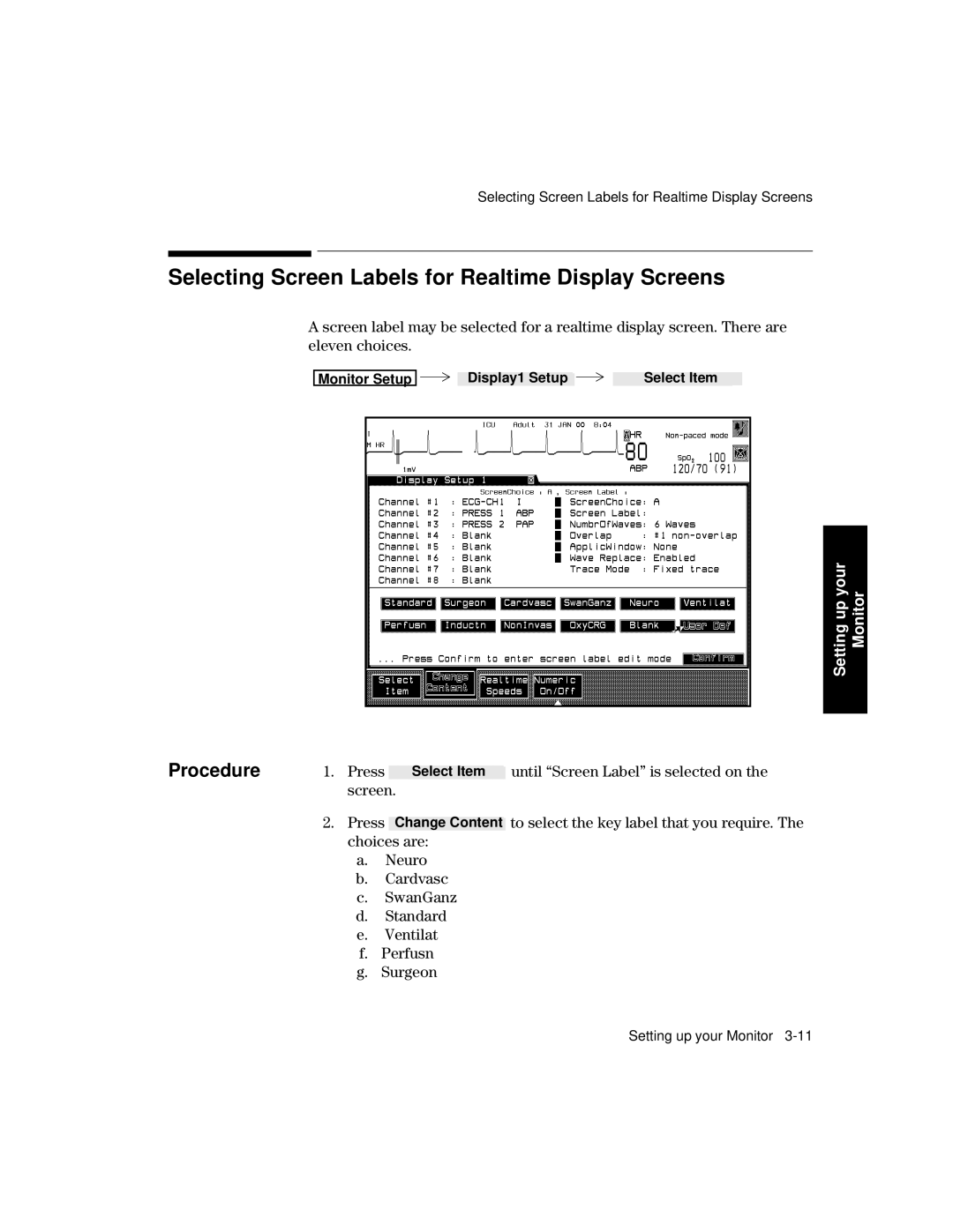 Philips V24CT, V26CT manual Selecting Screen Labels for Realtime Display Screens 