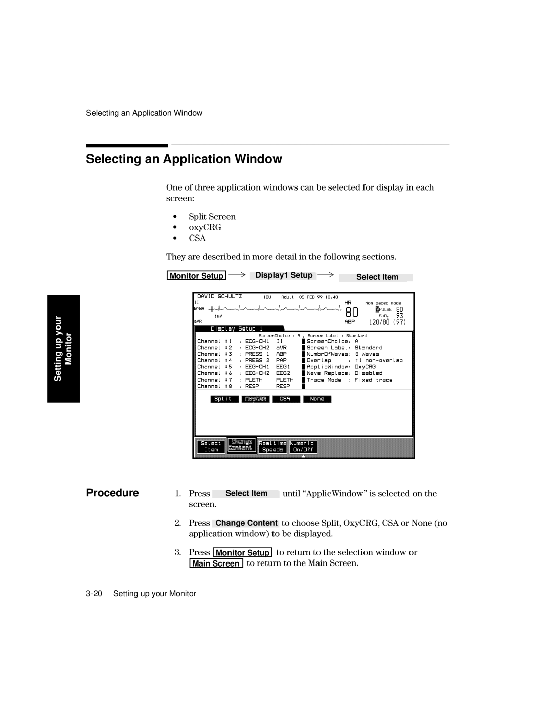 Philips V26CT, V24CT manual Selecting an Application Window, They are described in more detail in the following sections 