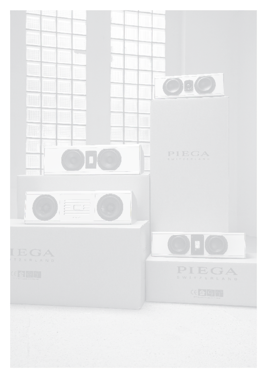 Piega 2008 manual 