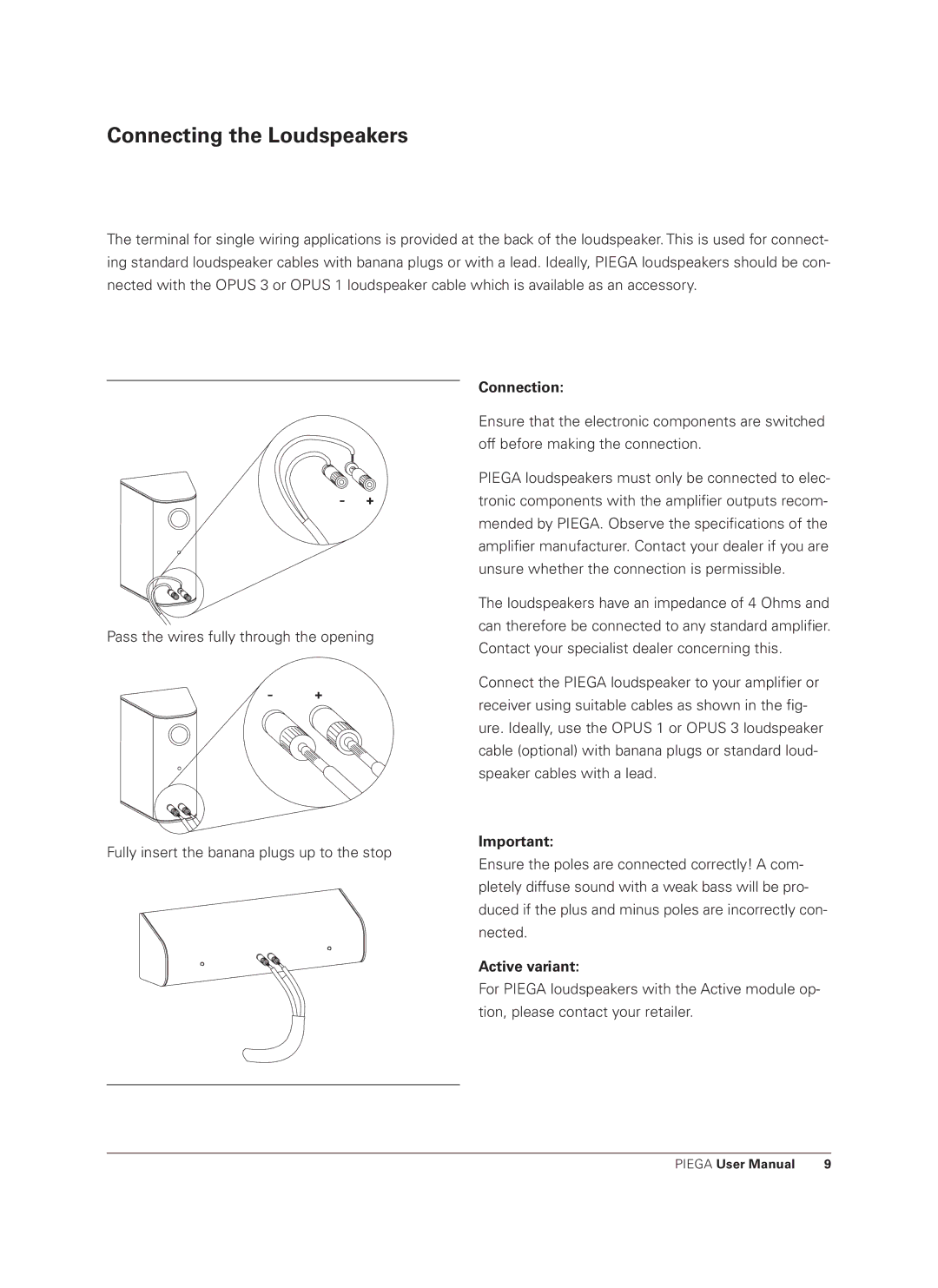 Piega user manual Connecting the Loudspeakers, Connection, Active variant 