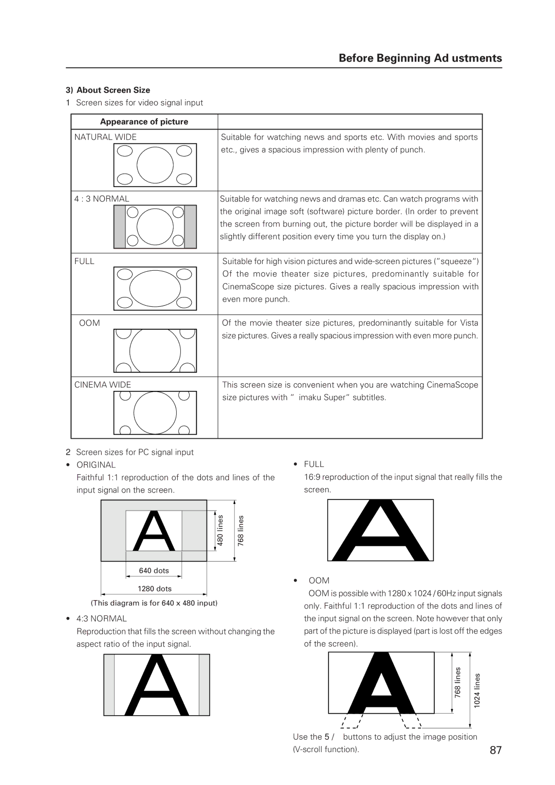 Pioneer 502MX technical manual About Screen Size, Appearance of picture 