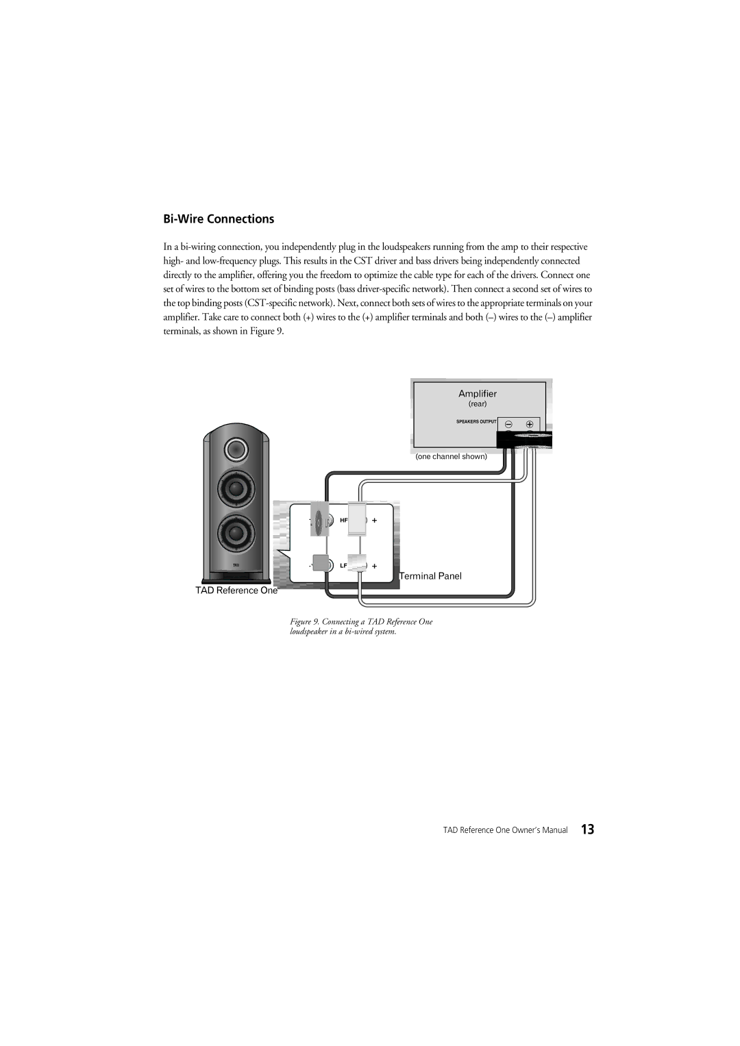 Pioneer TAD-R1 owner manual Bi-Wire Connections 