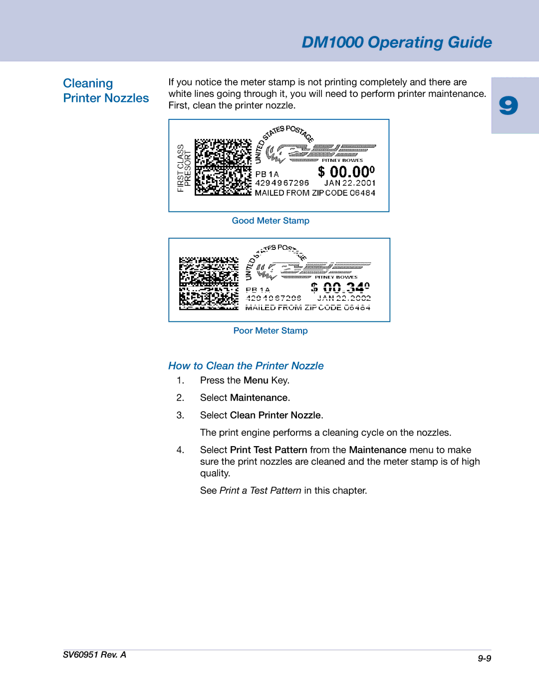 Pitney Bowes DM1000 manual Cleaning Printer Nozzles, How to Clean the Printer Nozzle 