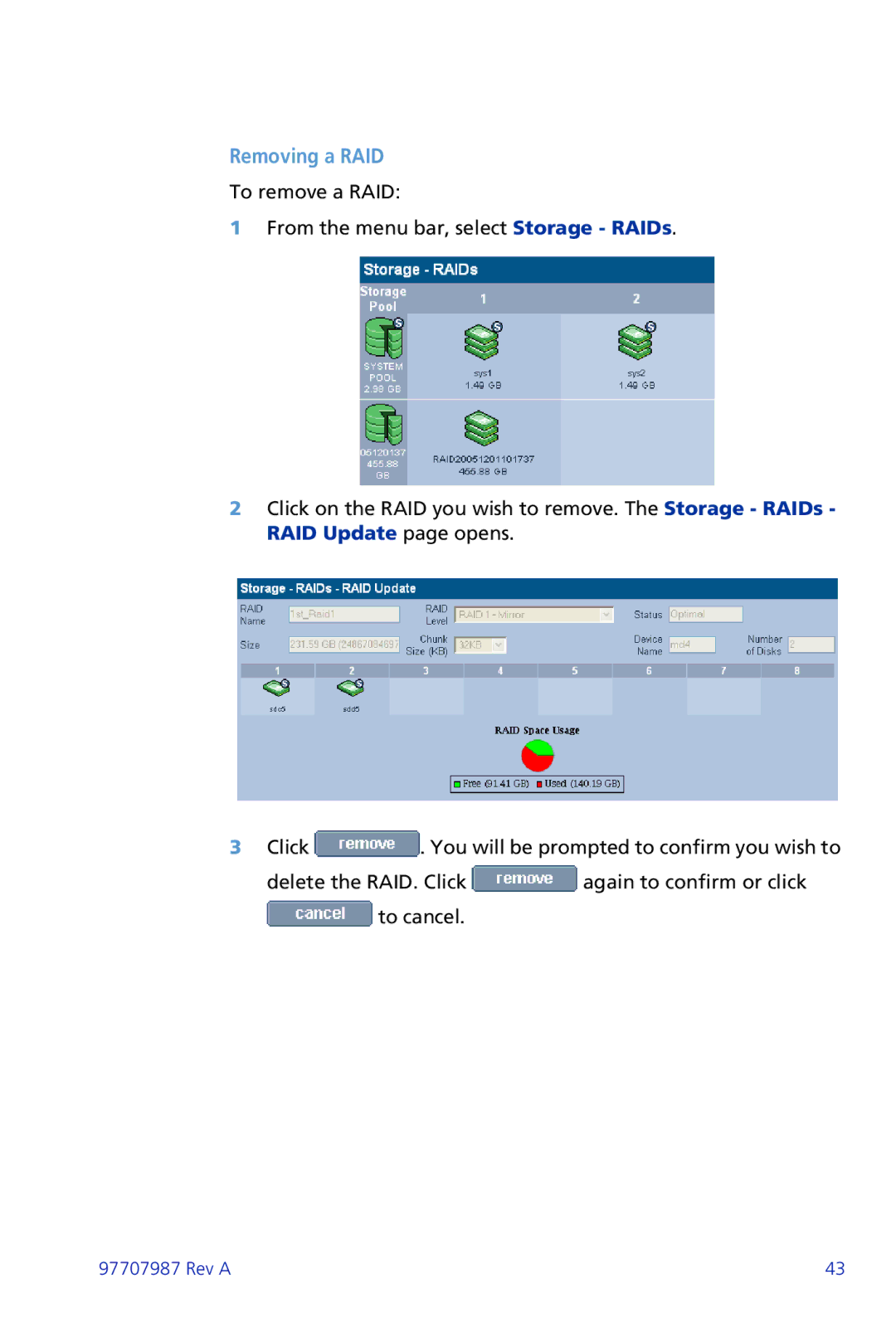 Plasmon ii 97707987 Rev A manual Removing a RAID 