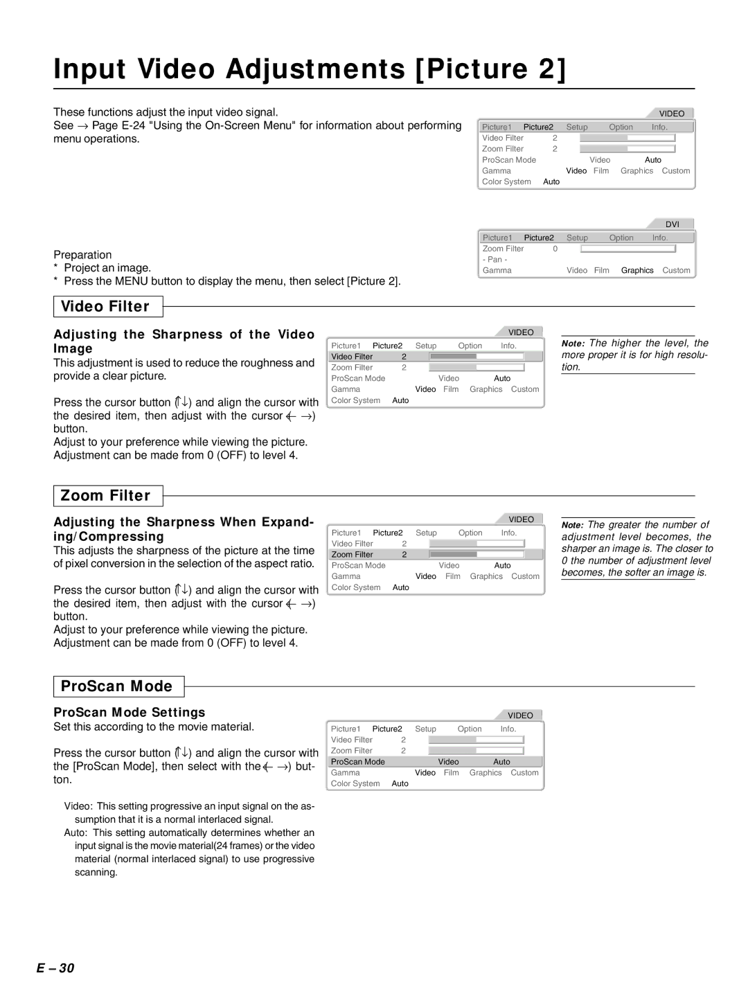 PLUS Vision HE-3100 user manual Input Video Adjustments Picture, Video Filter, Zoom Filter, ProScan Mode 