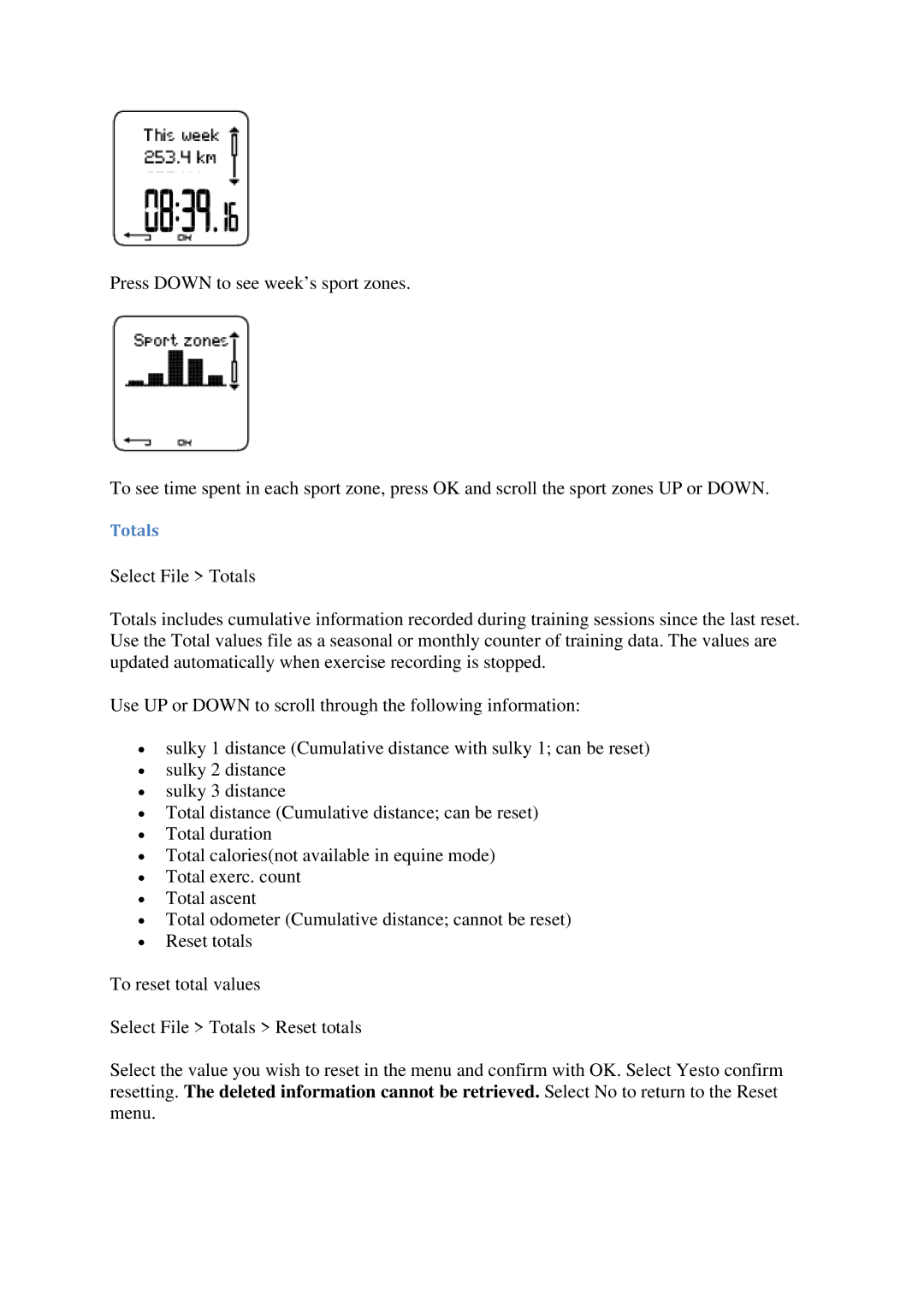 Polar CS600X user manual Totals 