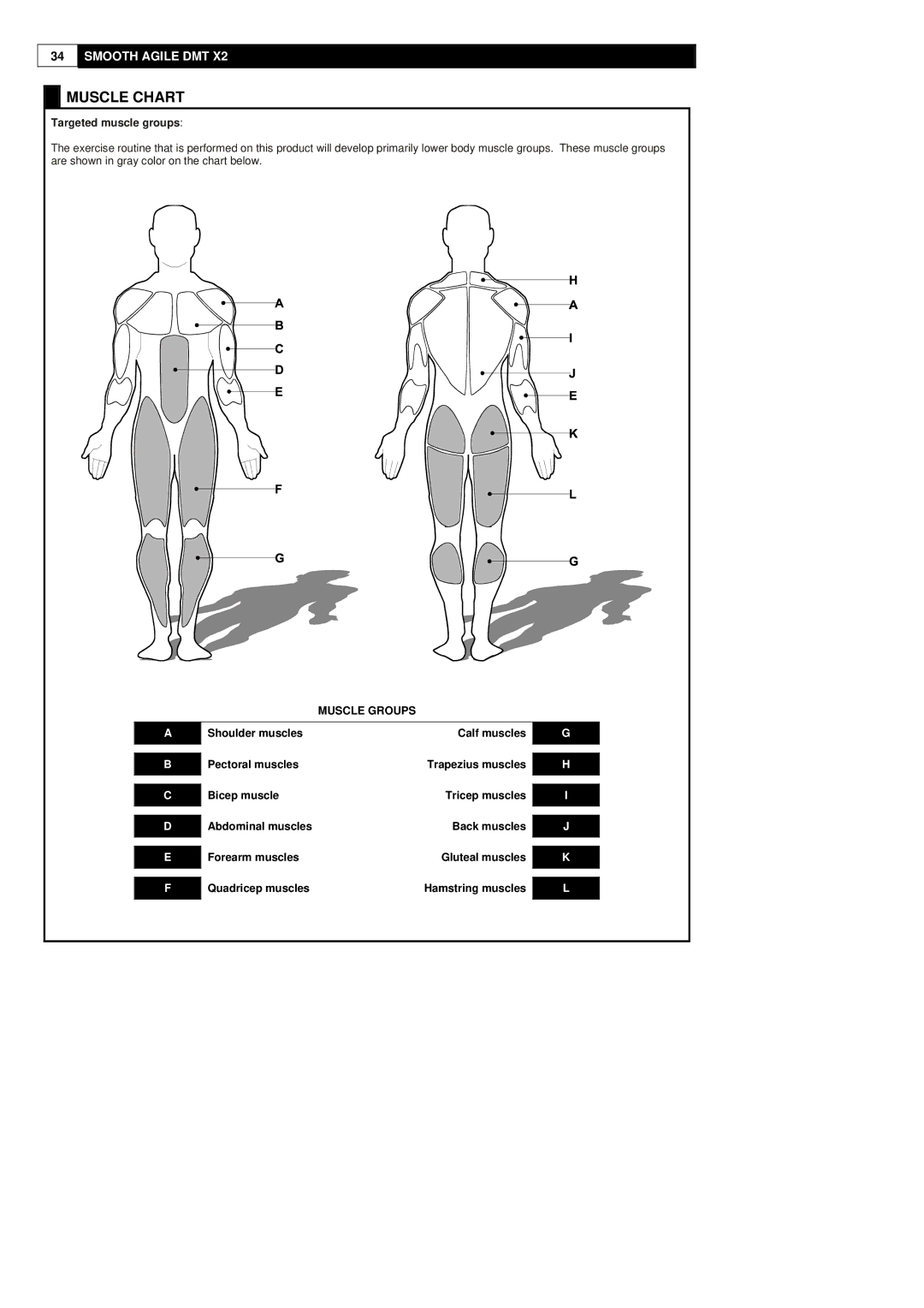 Polar DMT X2 user manual Muscle Chart, Muscle Groups 