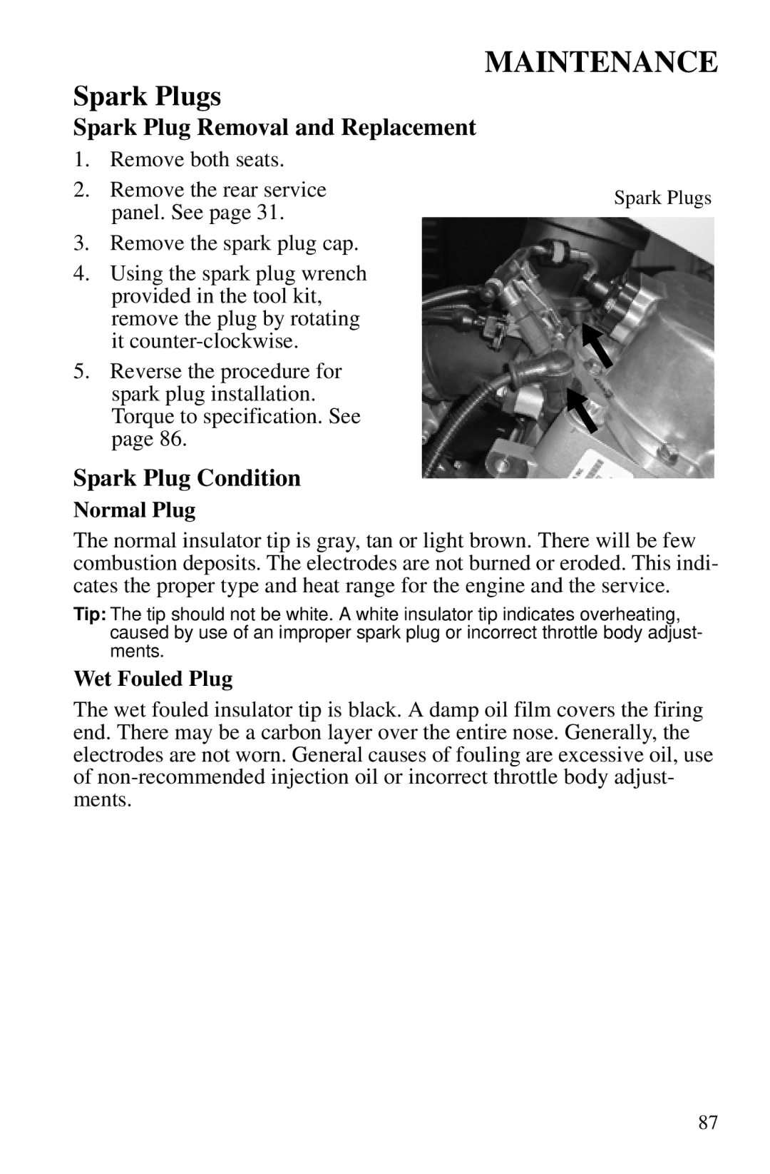 Polaris PMS 419 owner manual Spark Plug Removal and Replacement, Spark Plug Condition, Normal Plug, Wet Fouled Plug 