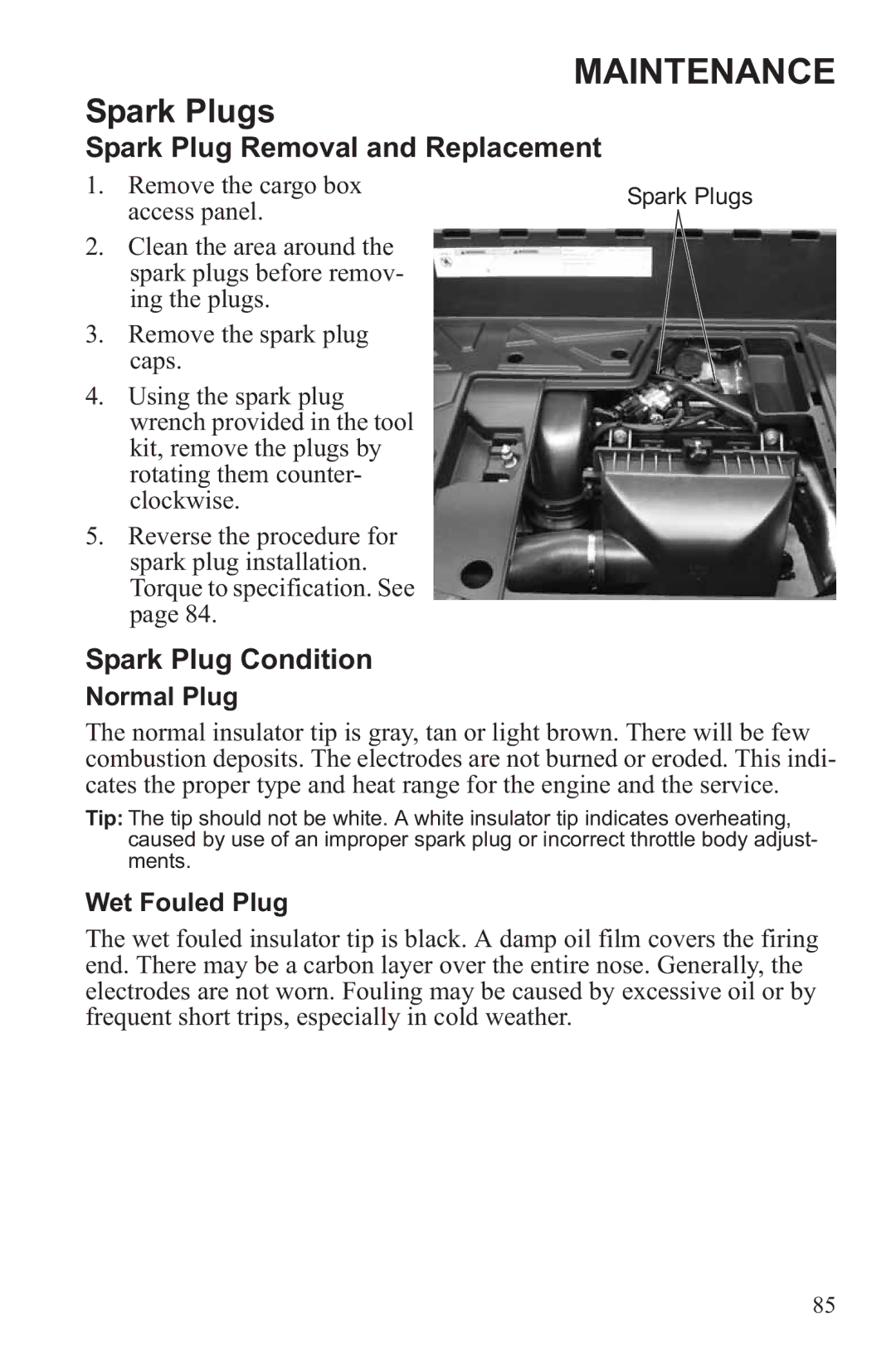 Polaris RZR XP 900, RZR XP 4 900 Spark Plug Removal and Replacement, Spark Plug Condition, Normal Plug, Wet Fouled Plug 