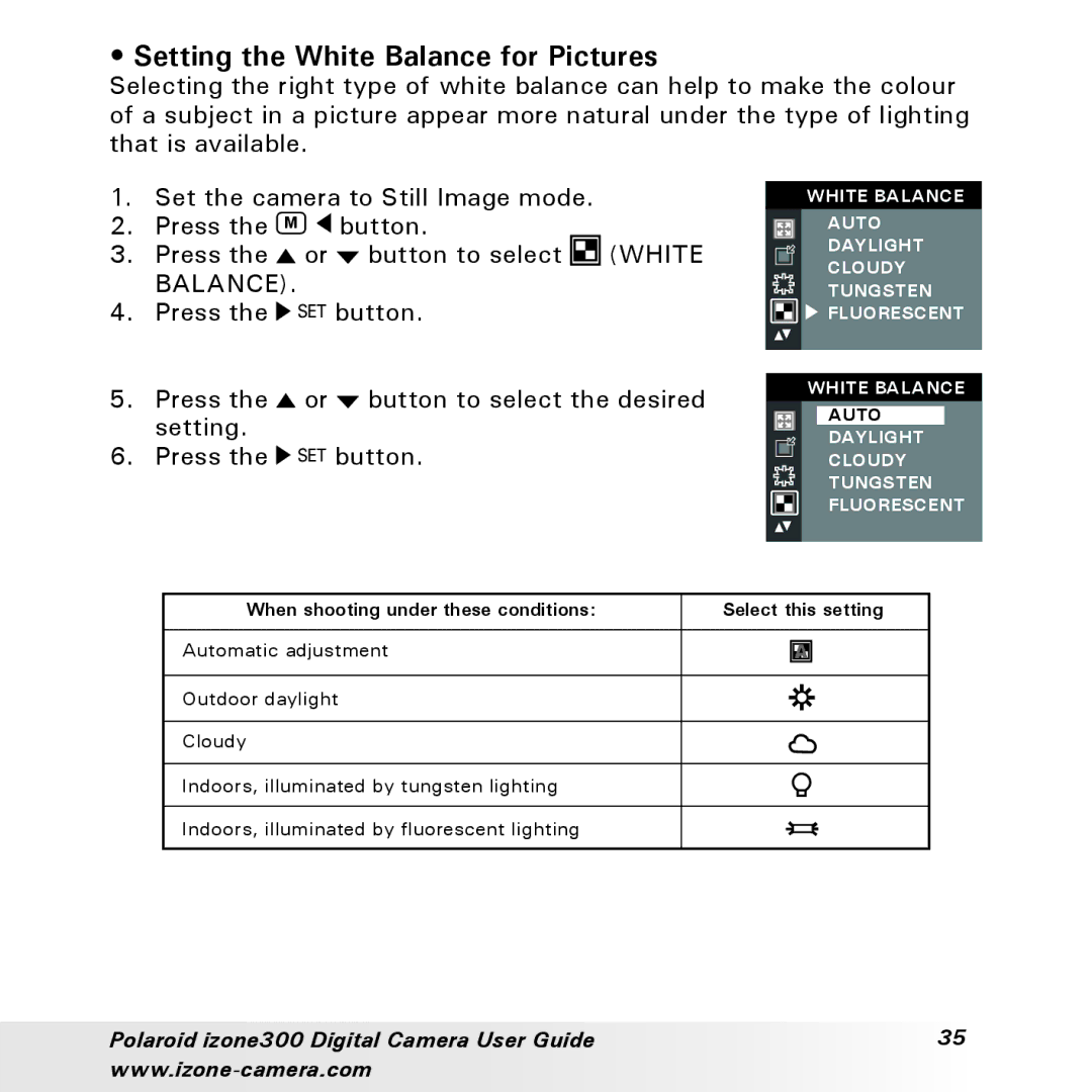 Polaroid 300 manual Setting the White Balance for Pictures 