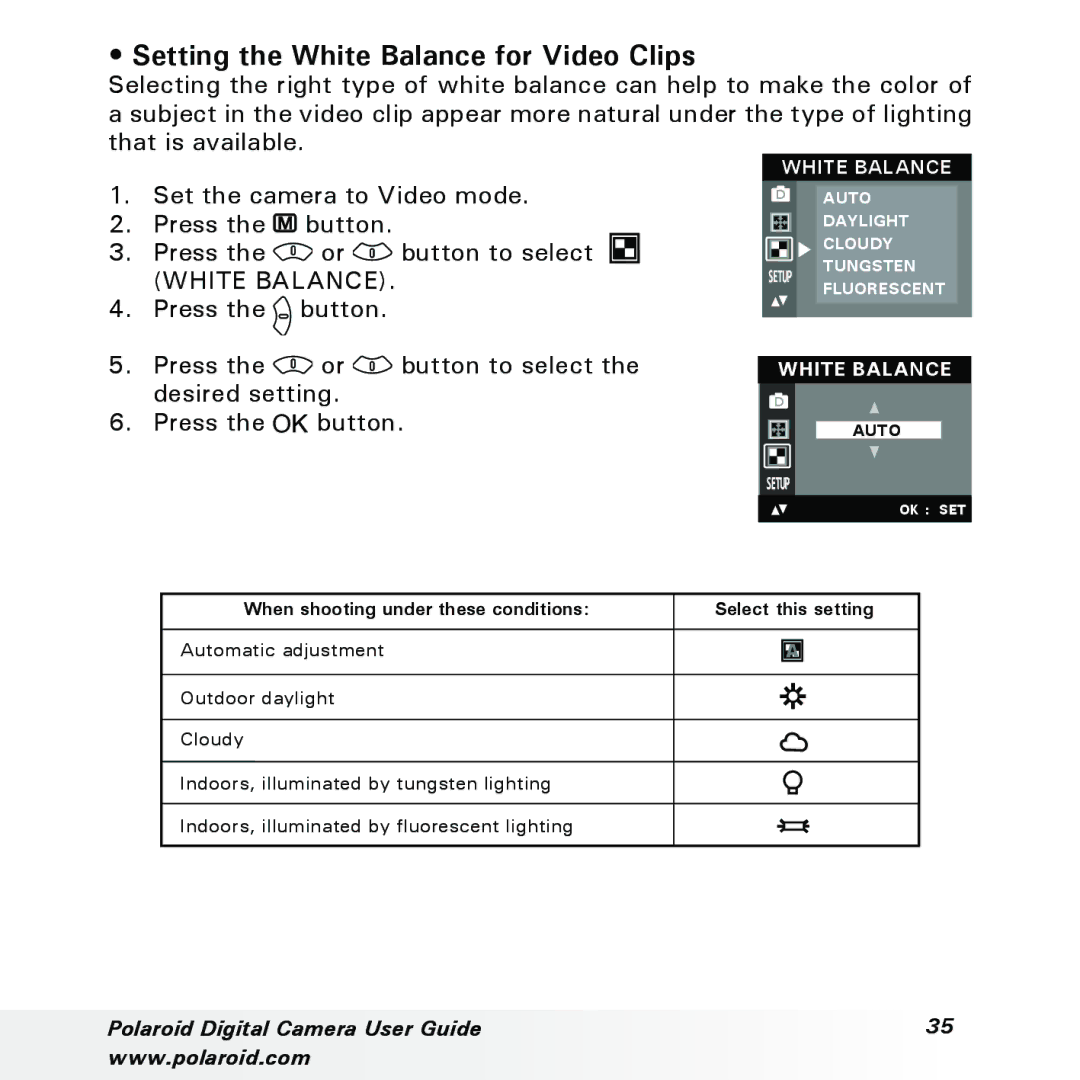 Polaroid a310, a300 manual Setting the White Balance for Video Clips 