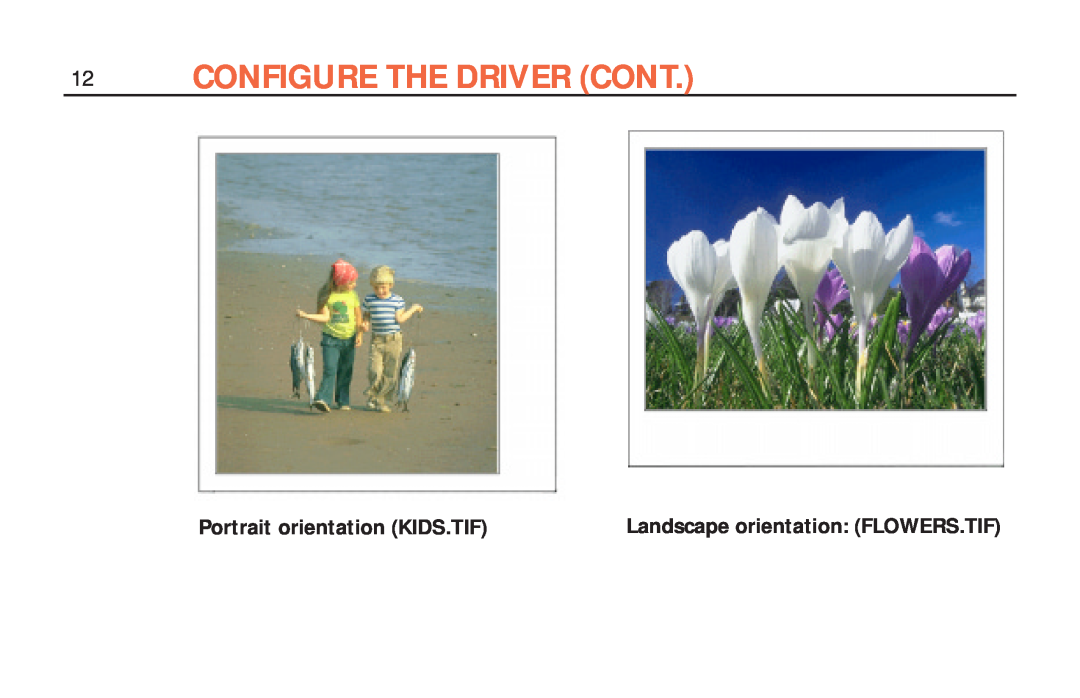 Polaroid ColorShot Printer Configure The Driver Cont, Portrait orientation KIDS.TIF, Landscape orientation FLOWERS.TIF 