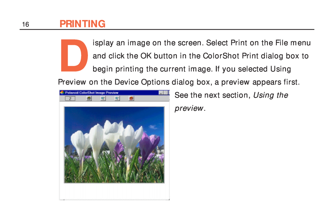 Polaroid ColorShot Printer manual Printing 
