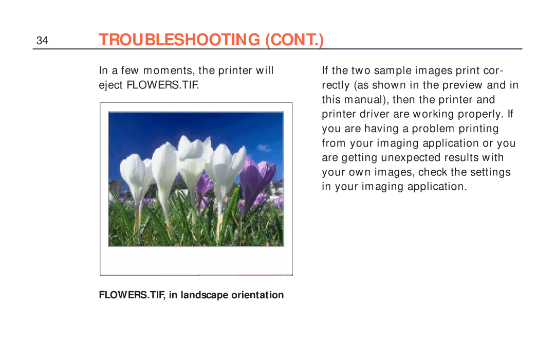 Polaroid ColorShot Printer manual FLOWERS.TIF, in landscape orientation 