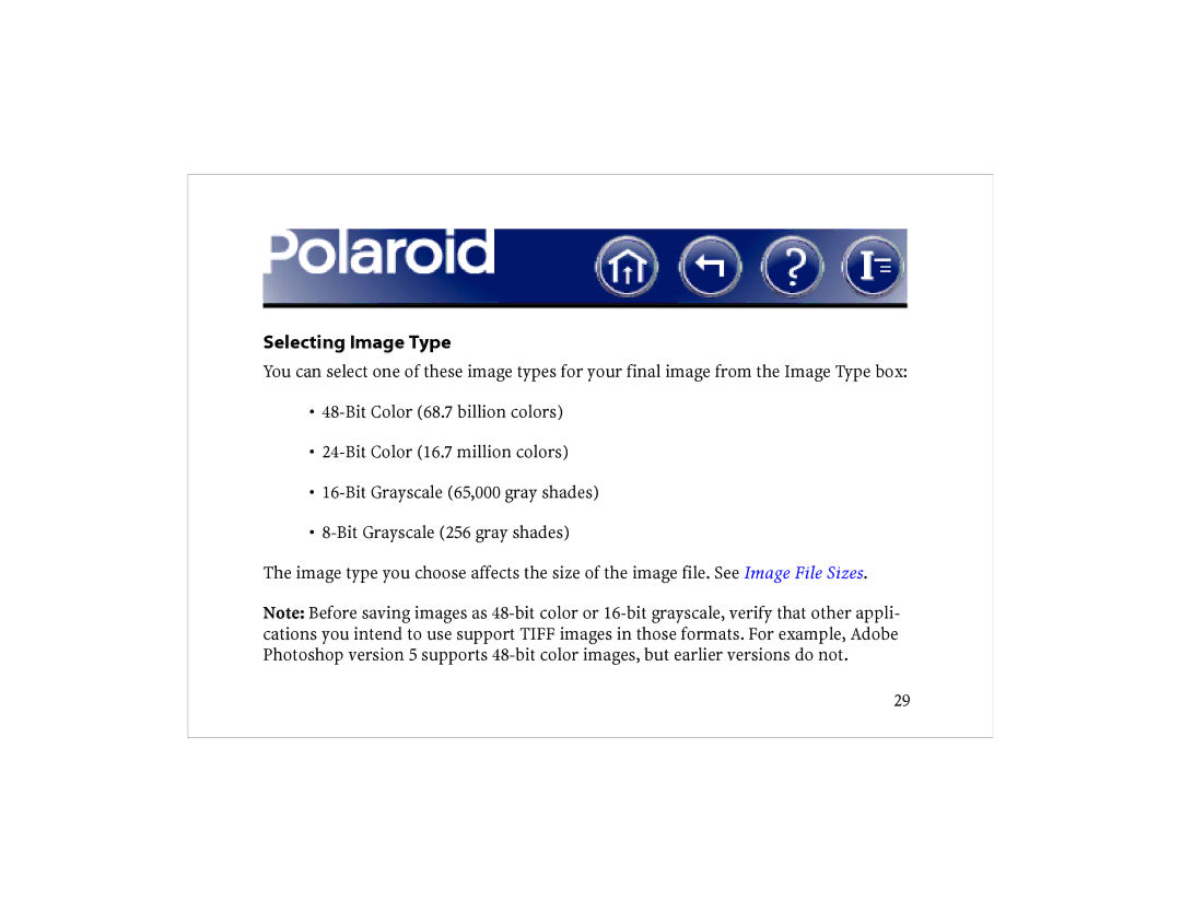 Polaroid DCM 2 Online manual Selecting Image Type 