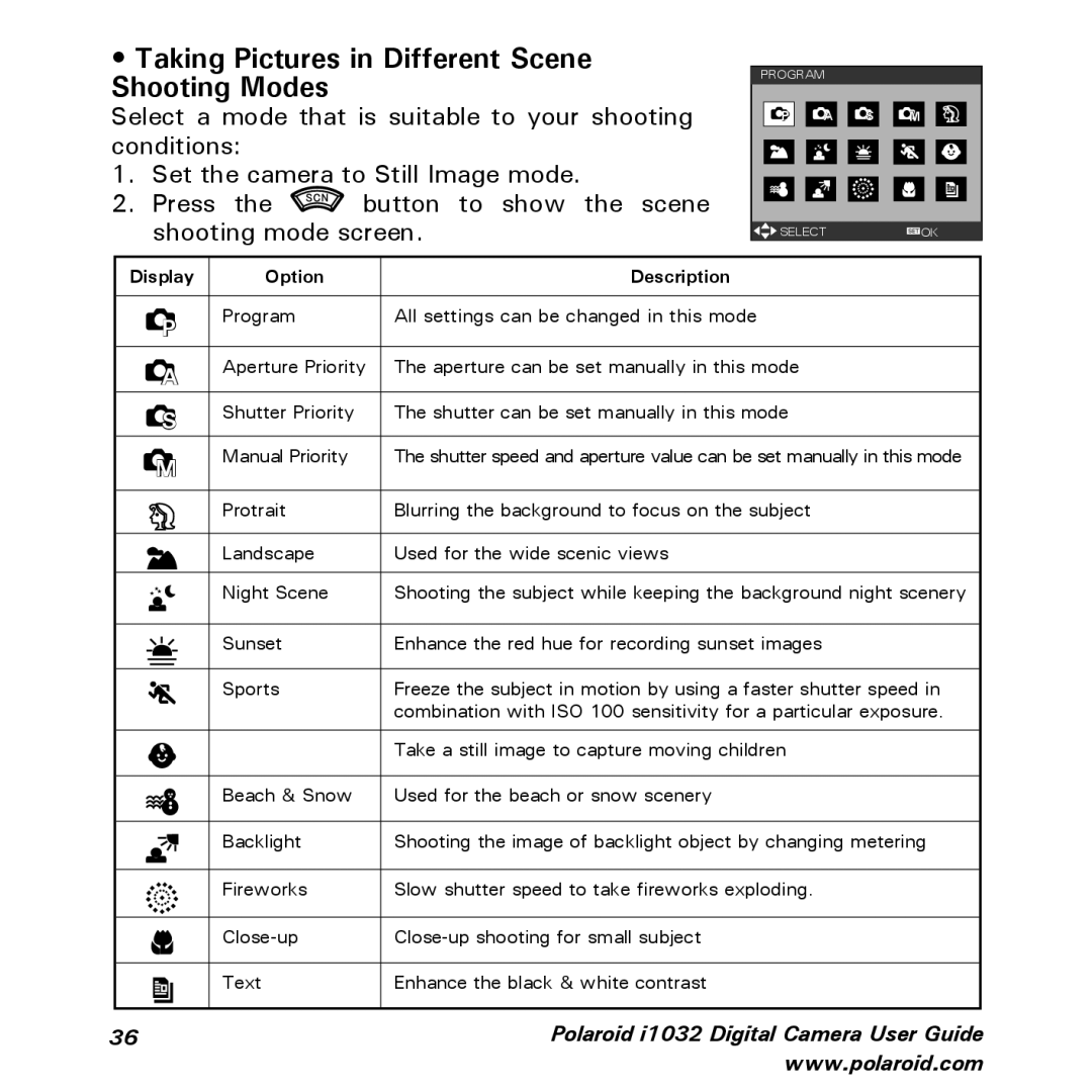 Polaroid i1032 manual Taking Pictures in Different Scene Shooting Modes, Display Option Description 