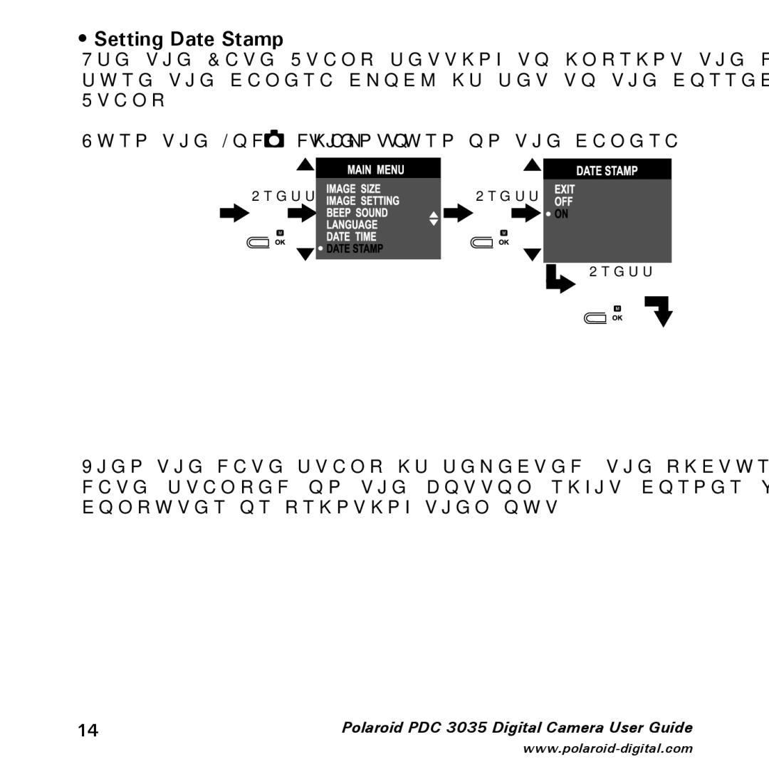 Polaroid PDC 3035 manual Setting Date Stamp 