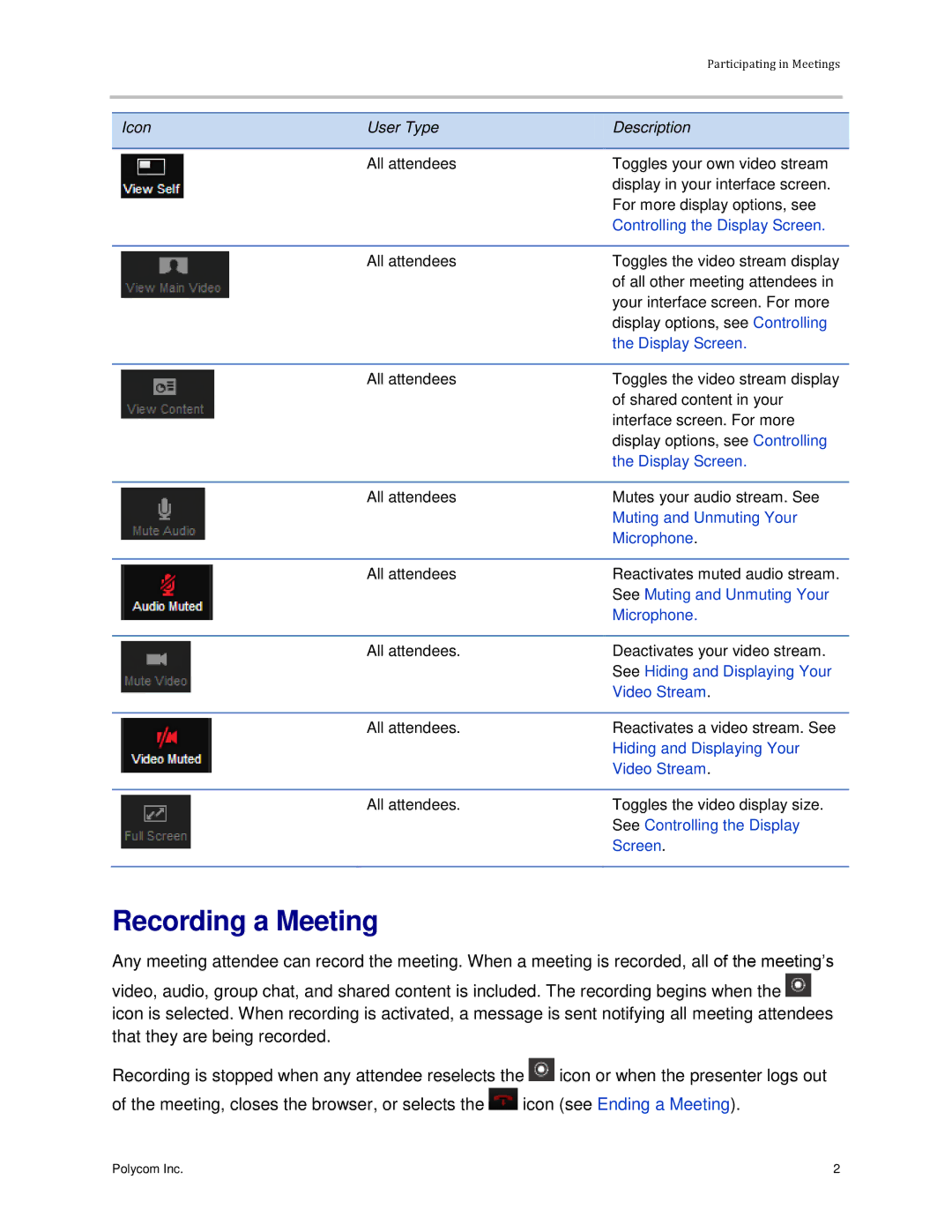 Polycom 3725-03305-001 manual Recording a Meeting, Controlling the Display Screen 