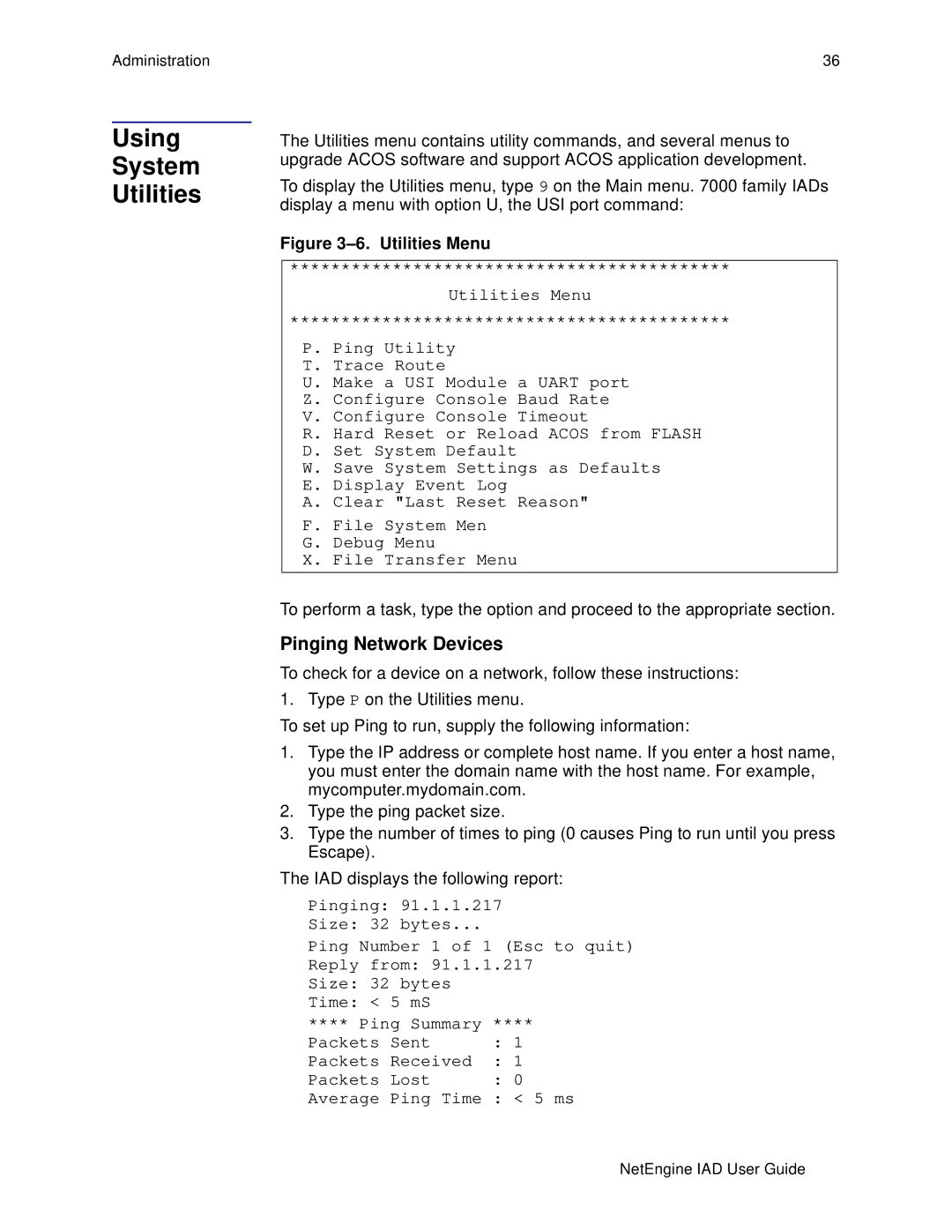 Polycom 7000, 6000 manual Using System Utilities, Pinging Network Devices 