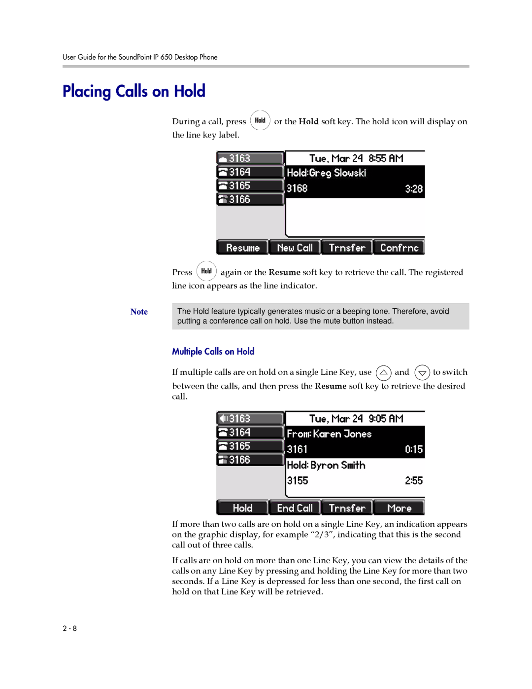 Polycom IP 650 manual Placing Calls on Hold 