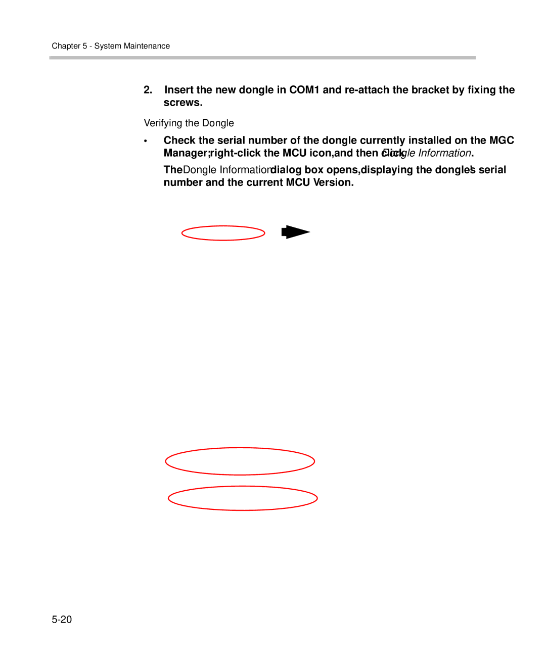 Polycom DOC2238A manual Verifying the Dongle 