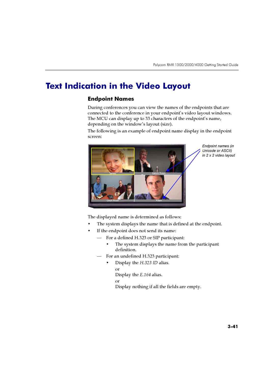 Polycom DOC2560B manual Text Indication in the Video Layout, Endpoint Names 