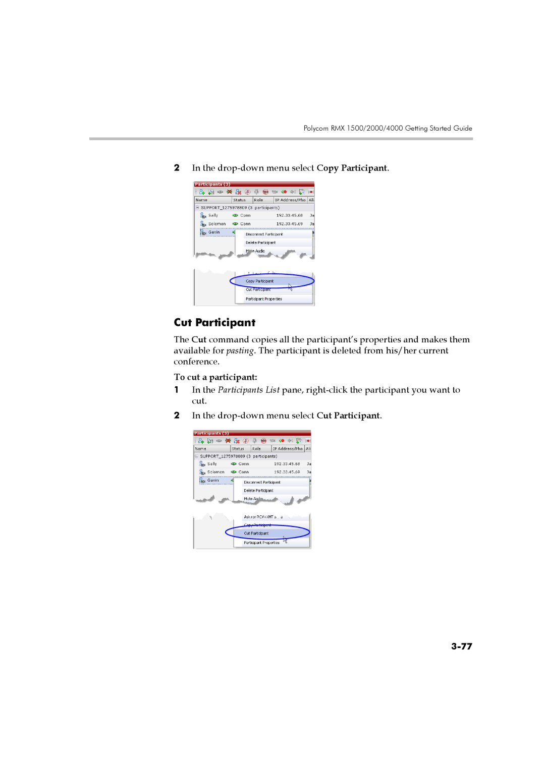 Polycom DOC2560B manual Cut Participant, To cut a participant 