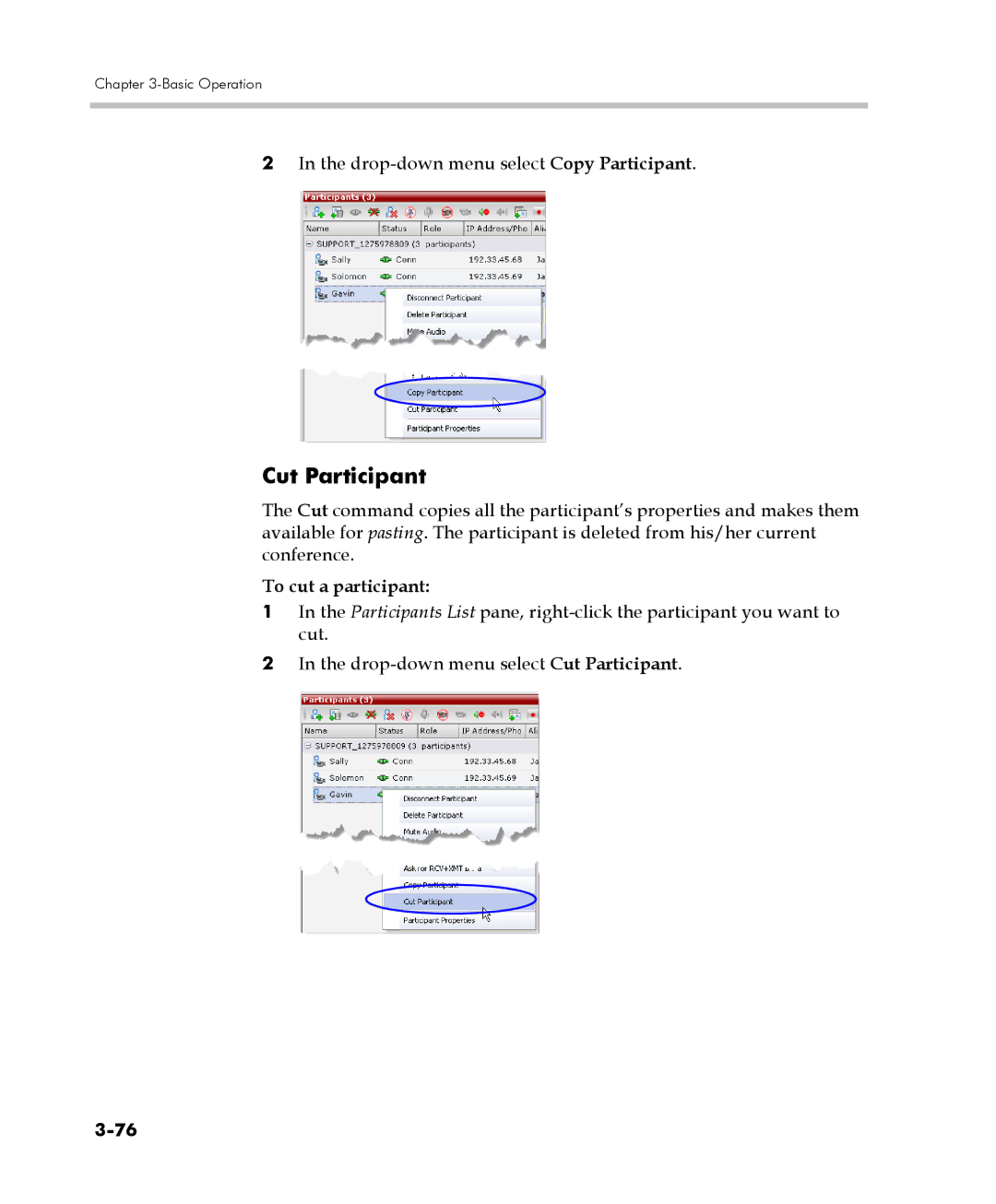 Polycom DOC2560C manual Cut Participant, To cut a participant 