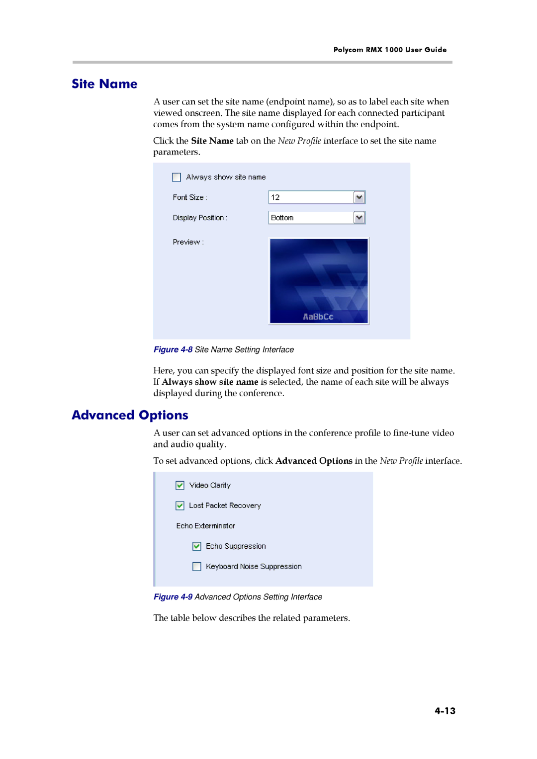 Polycom RMX 1000, 3150-16966-002 manual Site Name, Advanced Options 