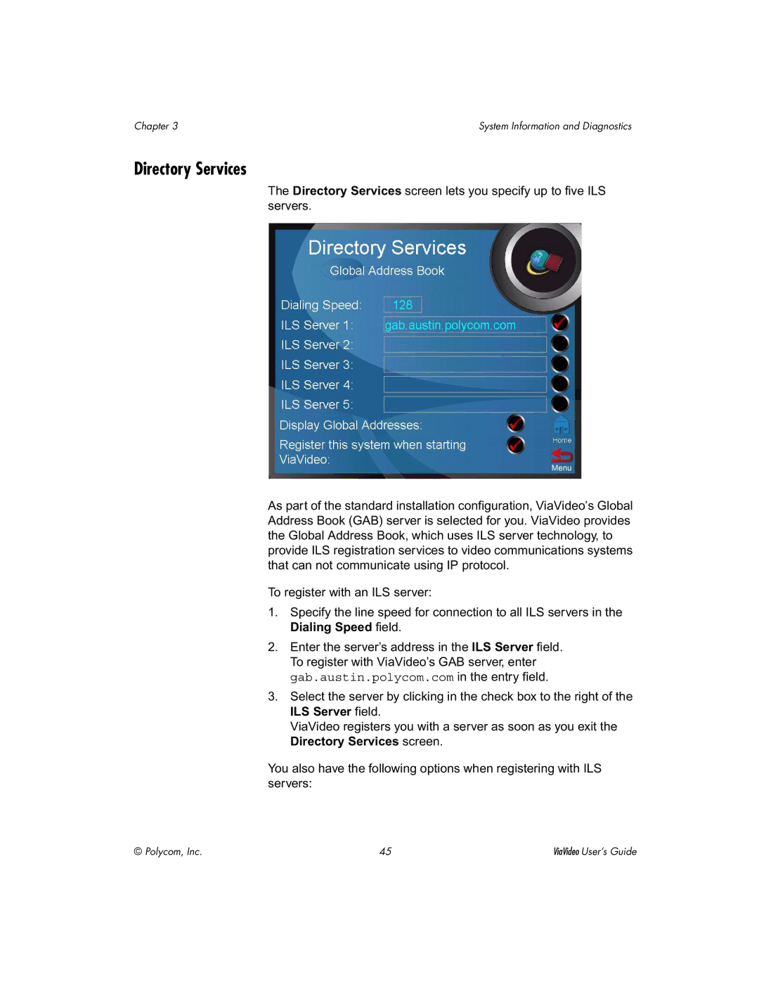 Polycom ViaVideo manual Directory Services 