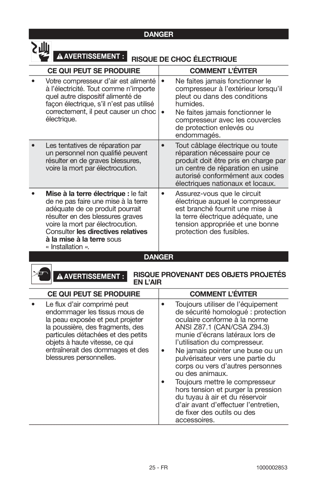 Porter-Cable 1000002853 Risque DE Choc Électrique, Mise à la terre électrique le fait, Consulter les directives relatives 