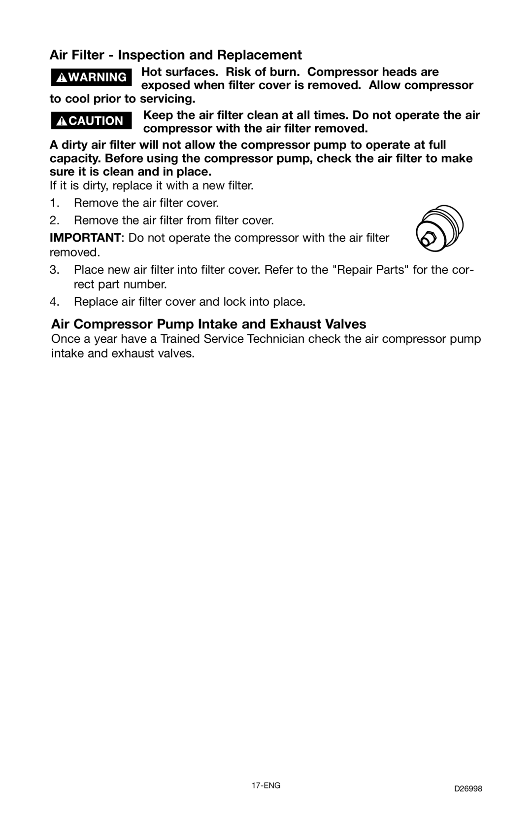 Porter-Cable CPL55GH8W Air Filter Inspection and Replacement, Air Compressor Pump Intake and Exhaust Valves 