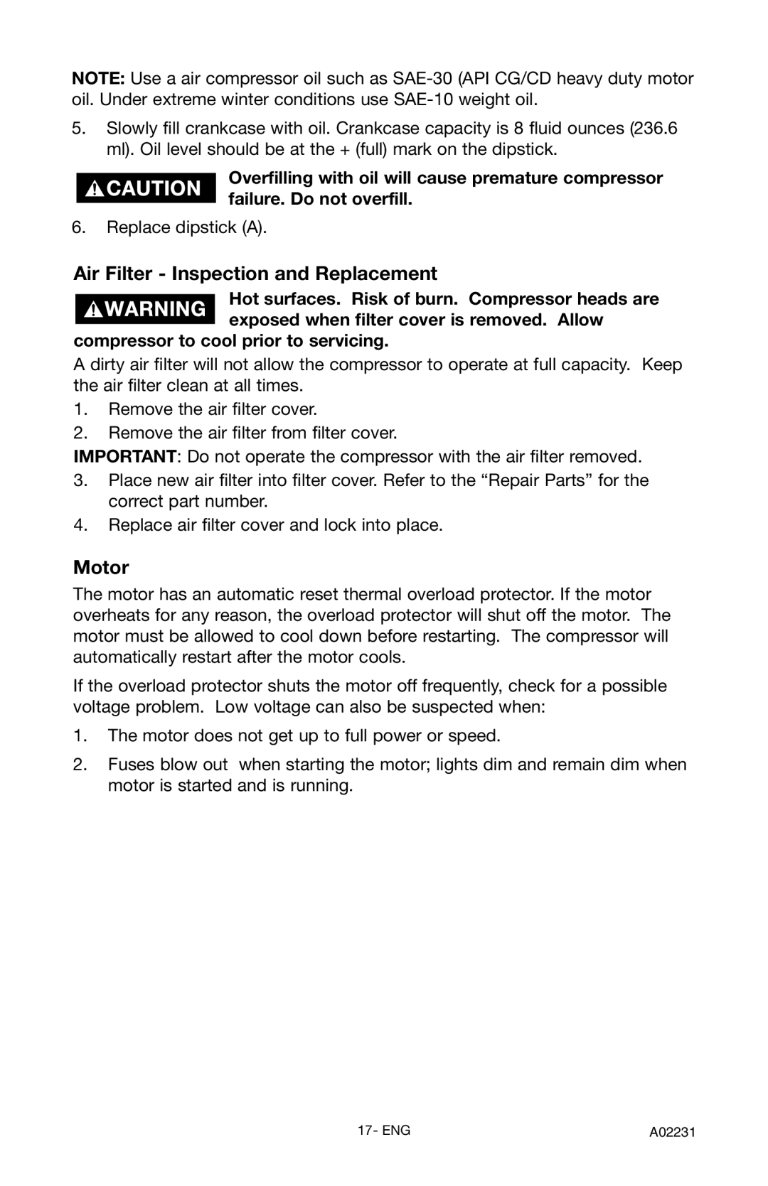 Porter-Cable CPLDC2540P instruction manual Air Filter Inspection and Replacement, Motor 