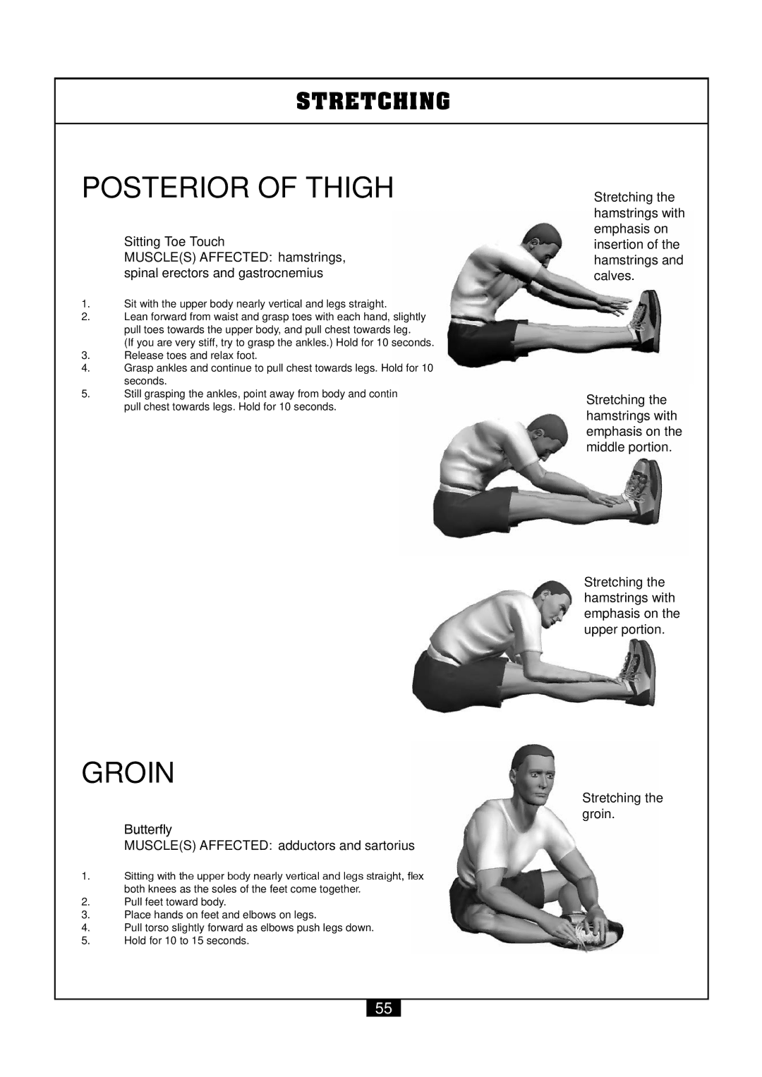 Powerline P2X manual Posterior of Thigh 