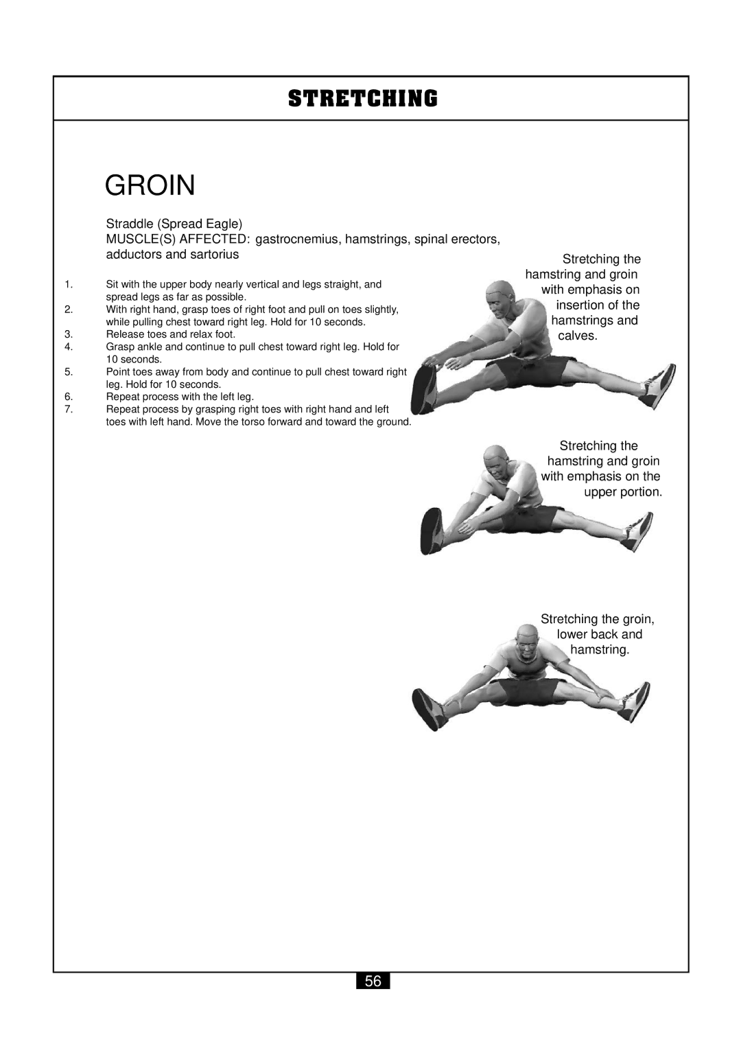 Powerline P2X manual Groin 