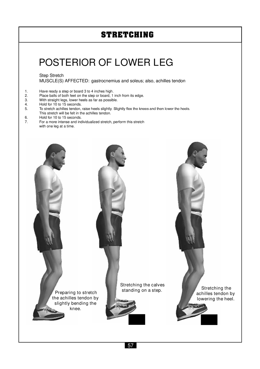 Powerline P2X manual Posterior of Lower LEG 