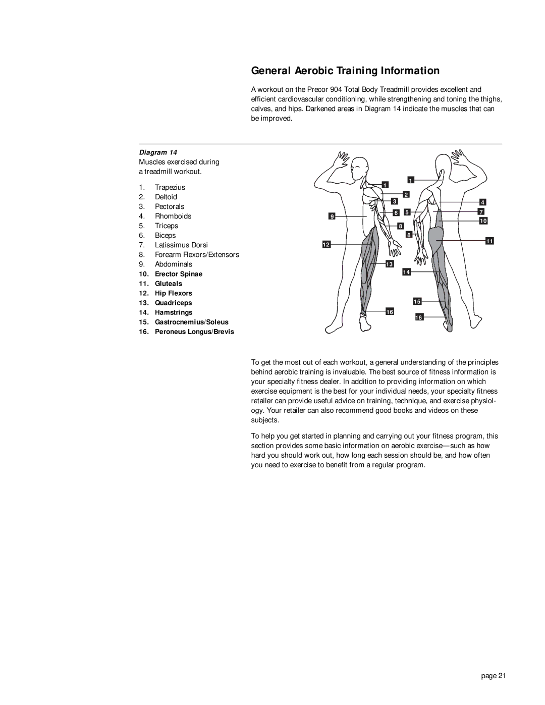 Precor 904 owner manual General Aerobic Training Information, Forearm Flexors/Extensors 