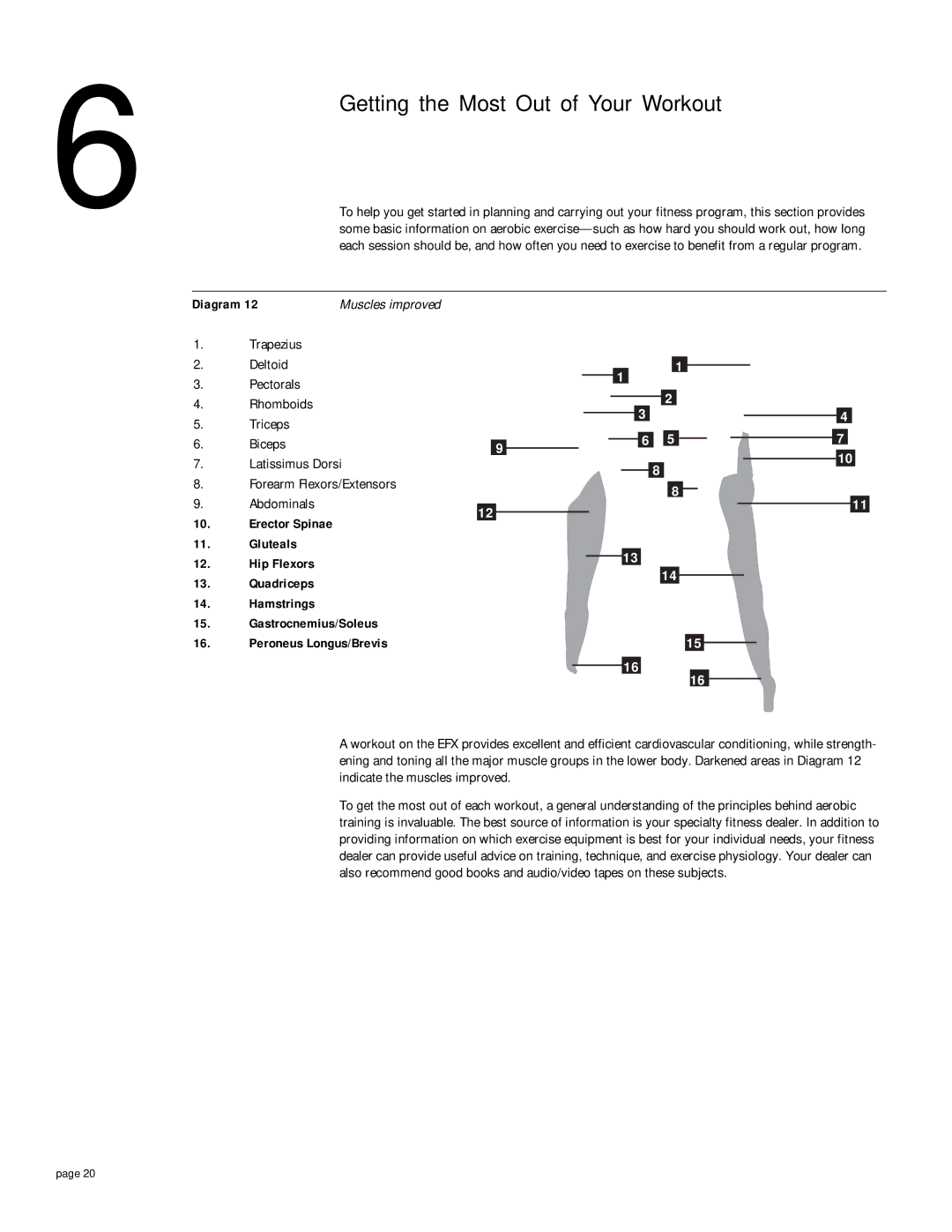 Precor EFX 5.21si owner manual Getting the Most Out of Your Workout, Muscles improved, Trapezius 