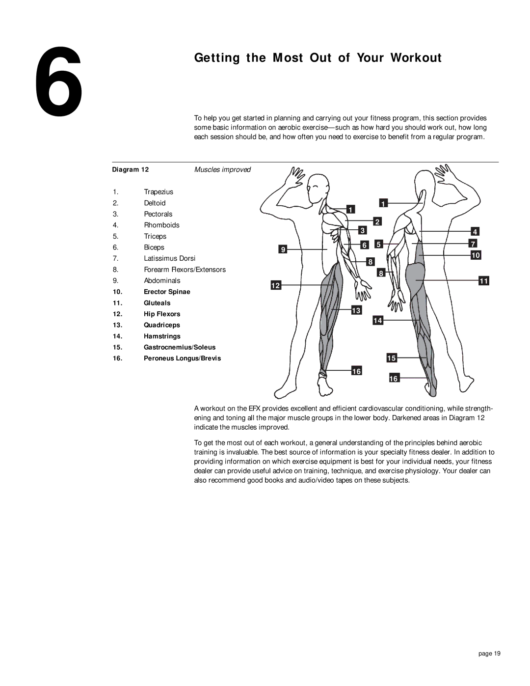 Precor EFX5.21s owner manual Getting the Most Out of Your Workout, Muscles improved, Trapezius 