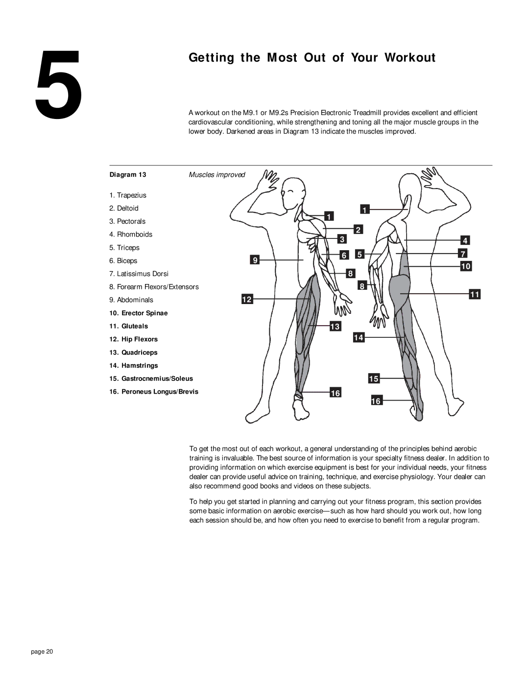 Precor M 9.2s, M 9.1 owner manual Getting the Most Out of Your Workout, Erector Spinae Gluteals Hip Flexors 