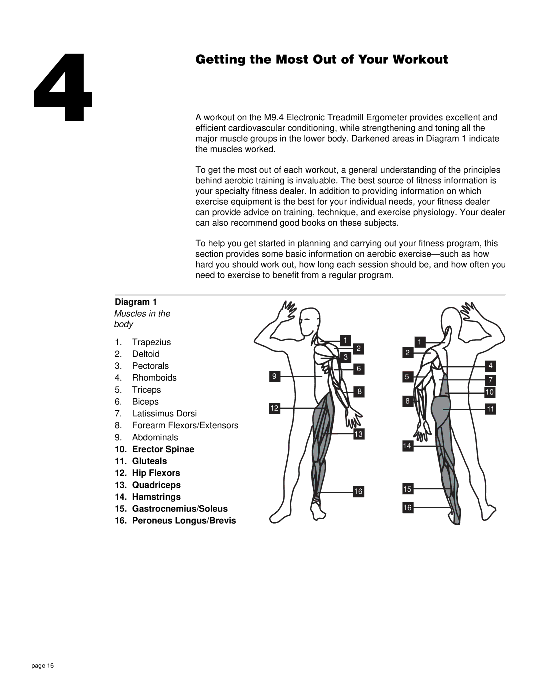 Precor M9.4 owner manual Getting the Most Out of Your Workout, Muscles in the body 