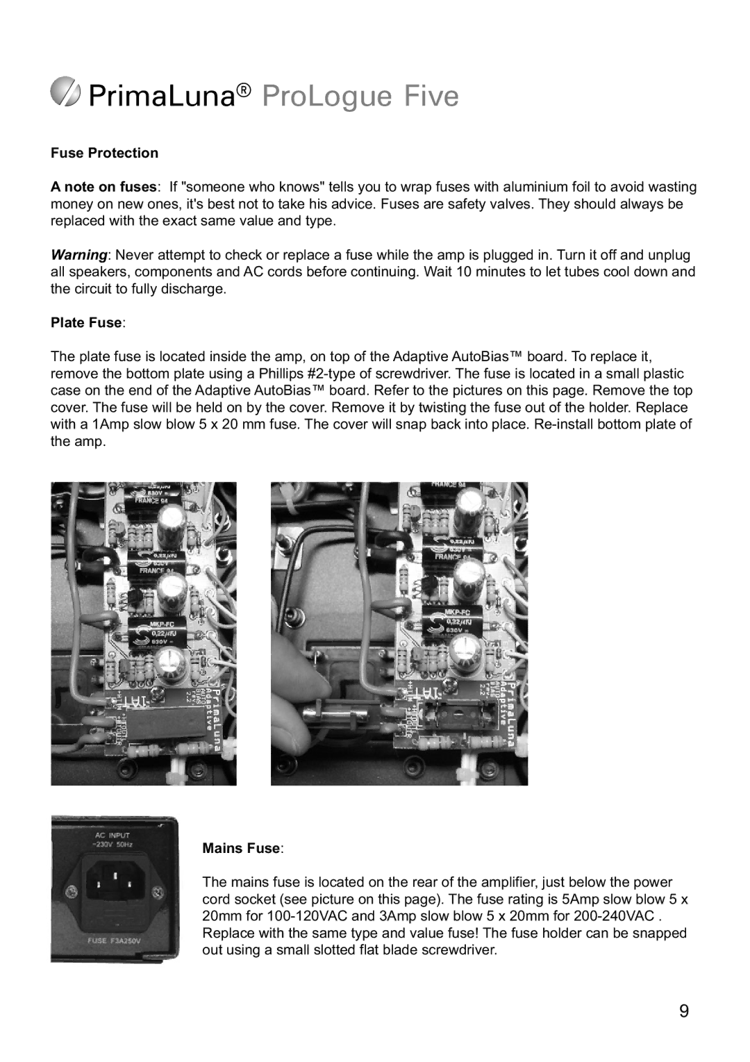 PrimaLuna USA ProLogue Five manual Fuse Protection Plate Fuse, Mains Fuse 