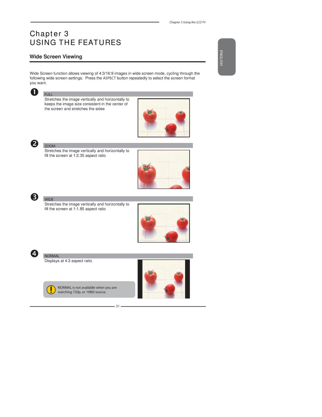 Princeton Digital (USA) TLA-04641C manual Wide Screen Viewing, Displays at 43 aspect ratio 