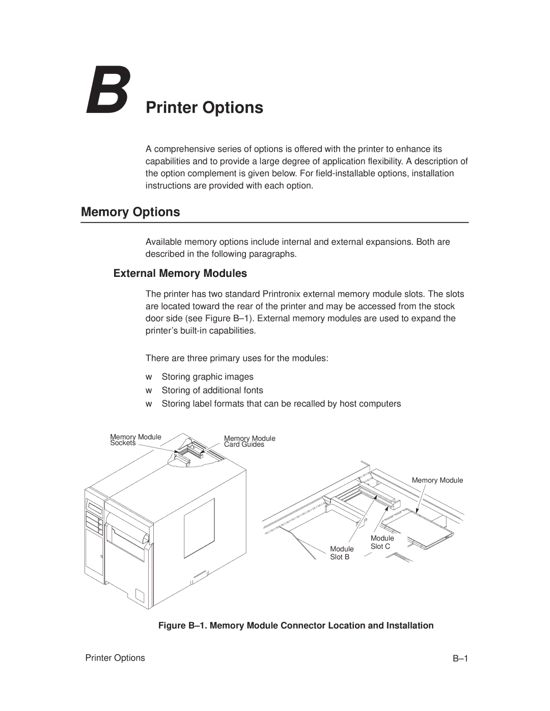 Printronix T3306, T3308 manual Memory Options, External Memory Modules 