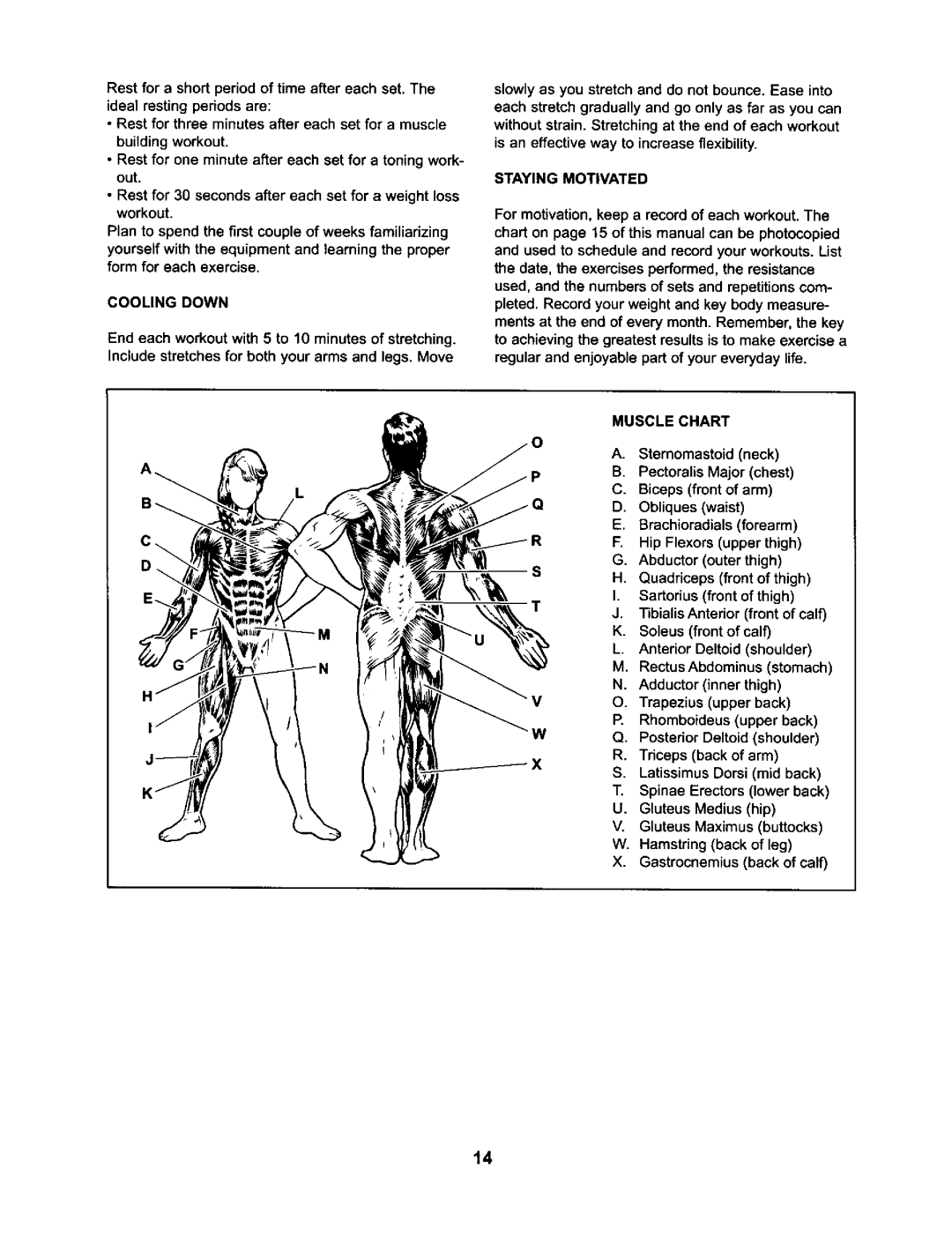 ProForm 831.15032 user manual Cooling Down, End each workout with 5 to 10 minutes of stretching, Staying Motivated 