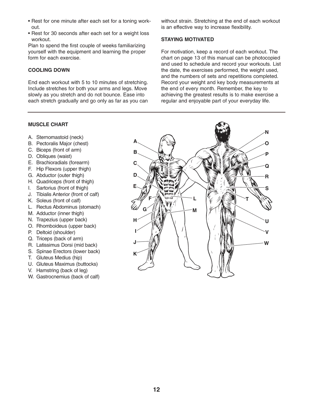 ProForm HGBE8991.1 user manual Cooling Down, Staying Motivated, Muscle Chart 