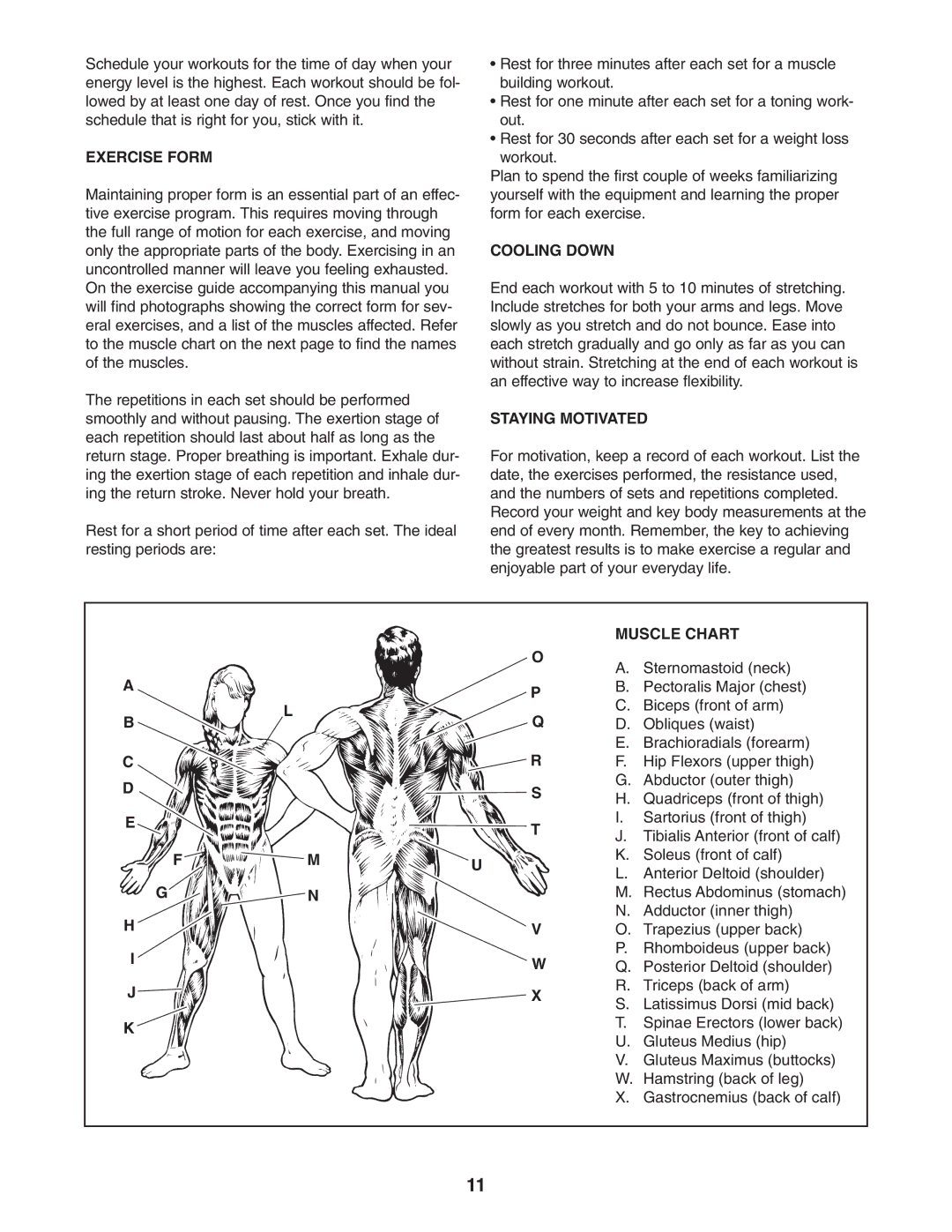 ProForm PFANBE2525.0 user manual Exercise Form 