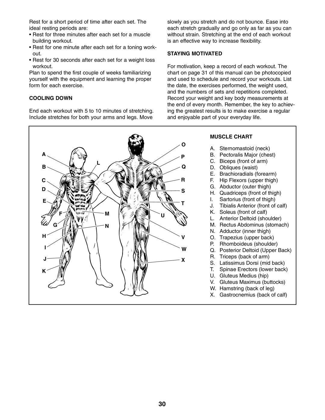 ProForm PFANSY9825.1 user manual Cooling Down, Staying Motivated, Muscle Chart 